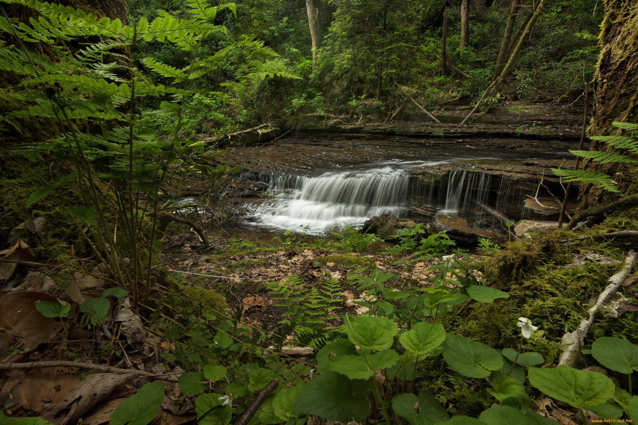 природа, реки, озера, простор