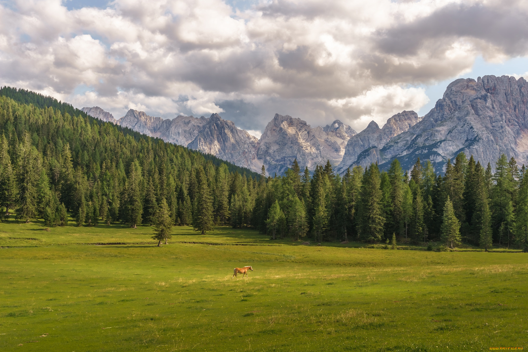 природа, горы, простор