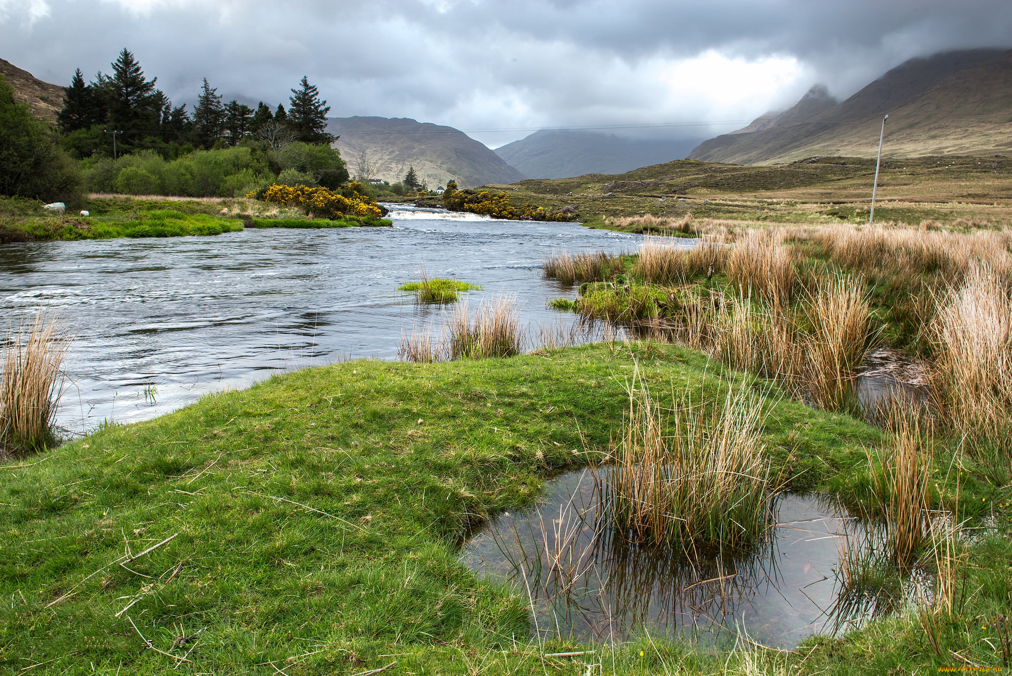 природа, реки, озера, простор