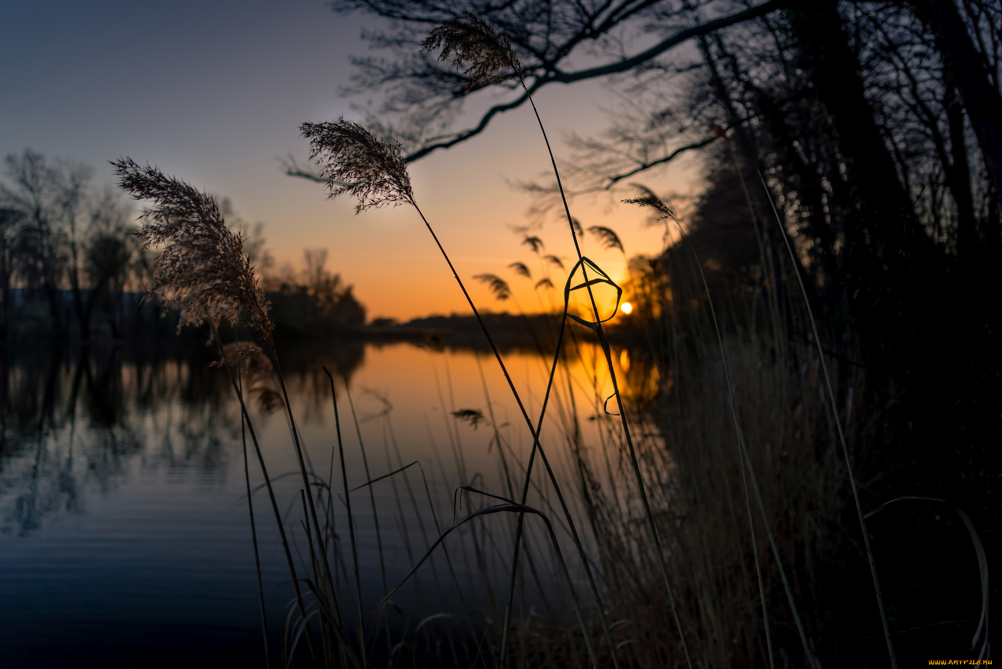 природа, реки, озера, простор