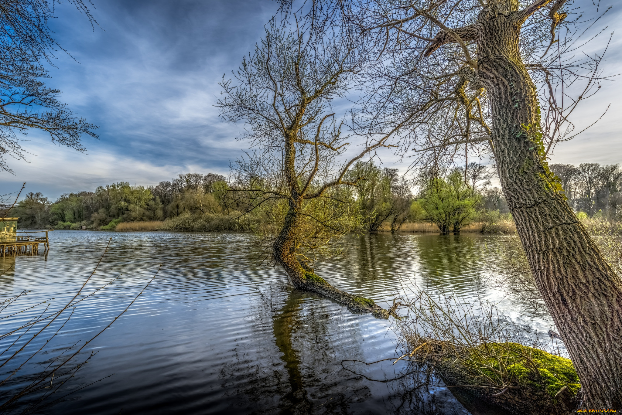 природа, реки, озера, простор