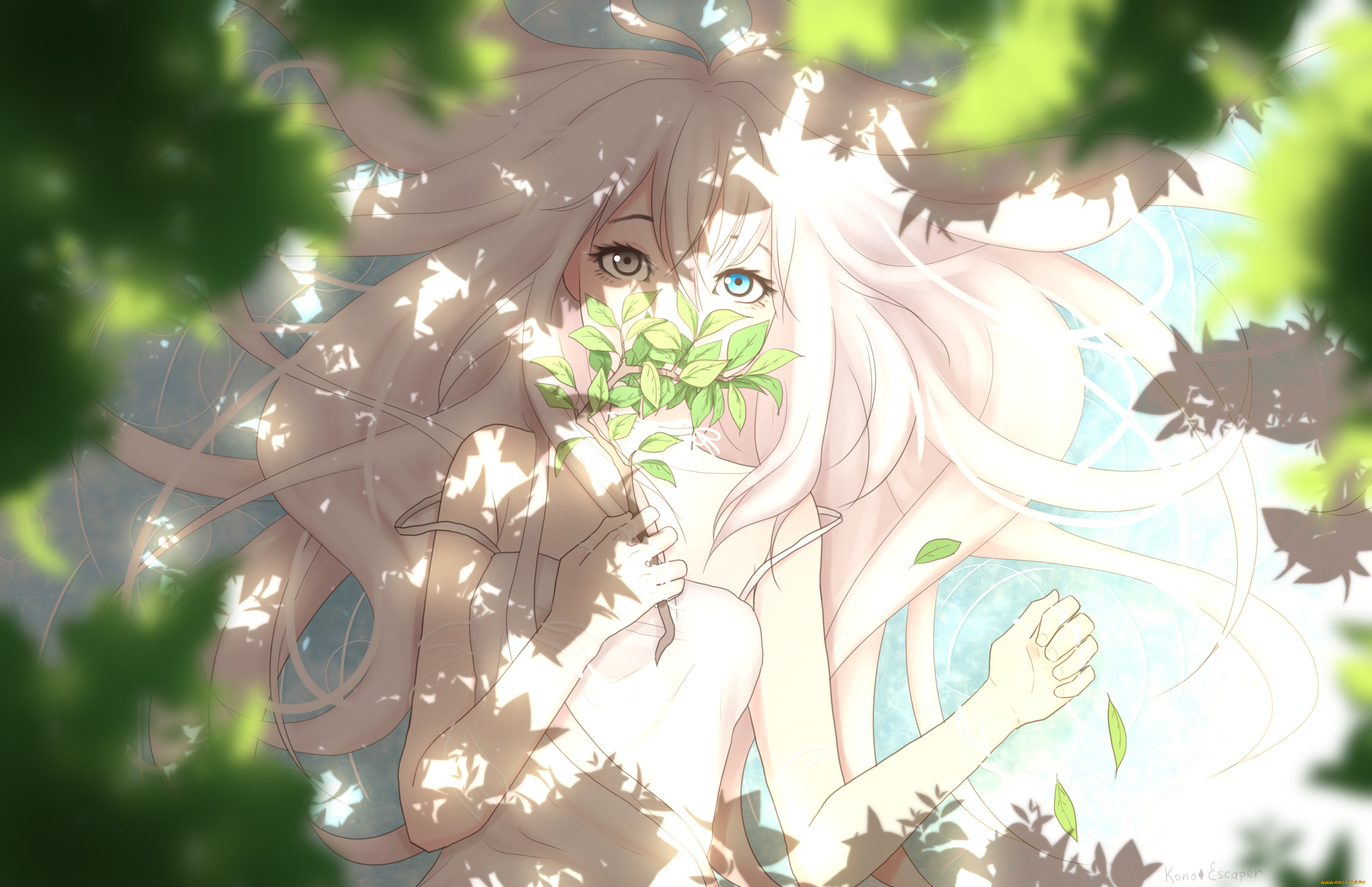 аниме, unknown, , другое, konoescaper