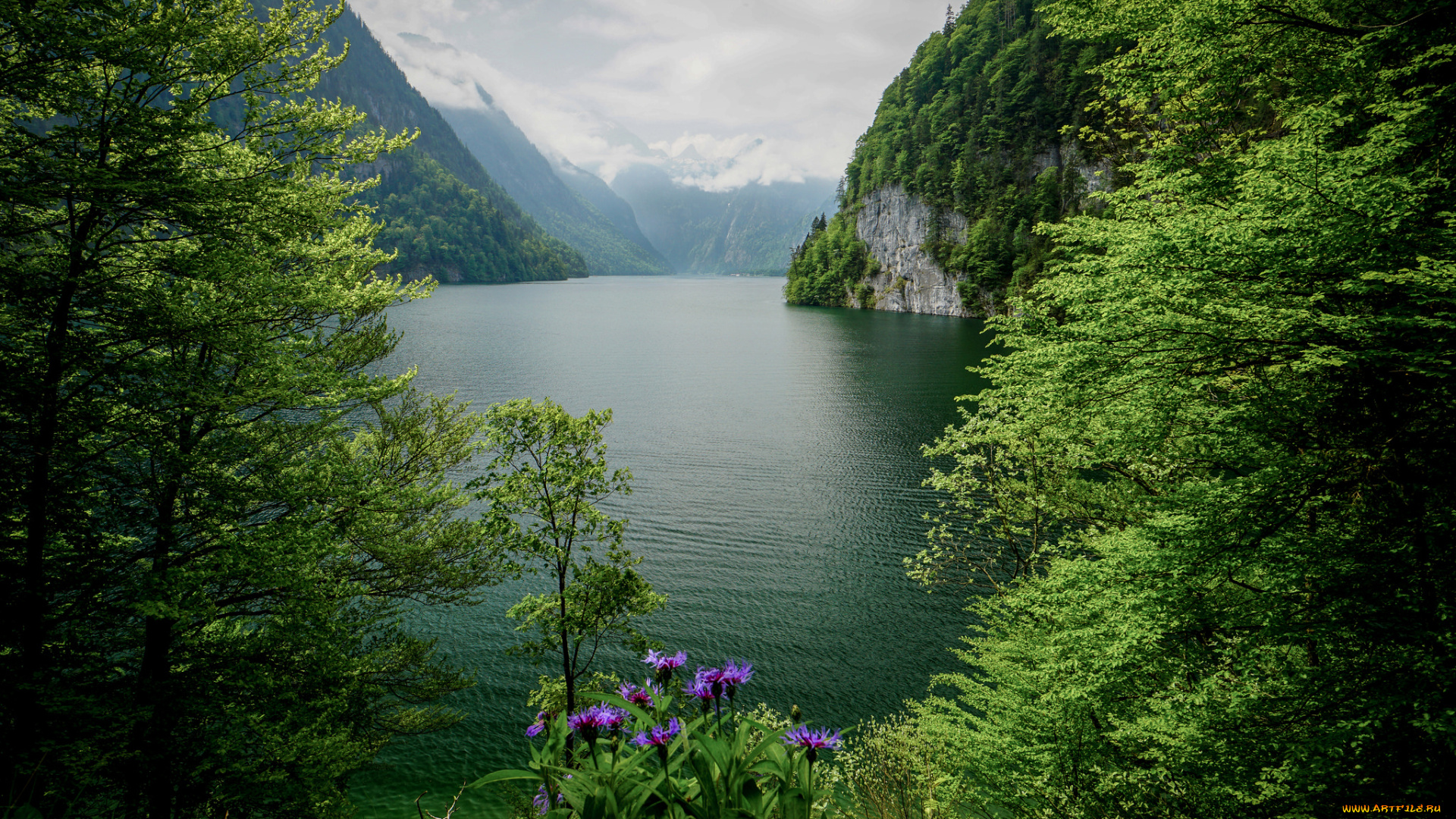 природа, реки, озера, простор