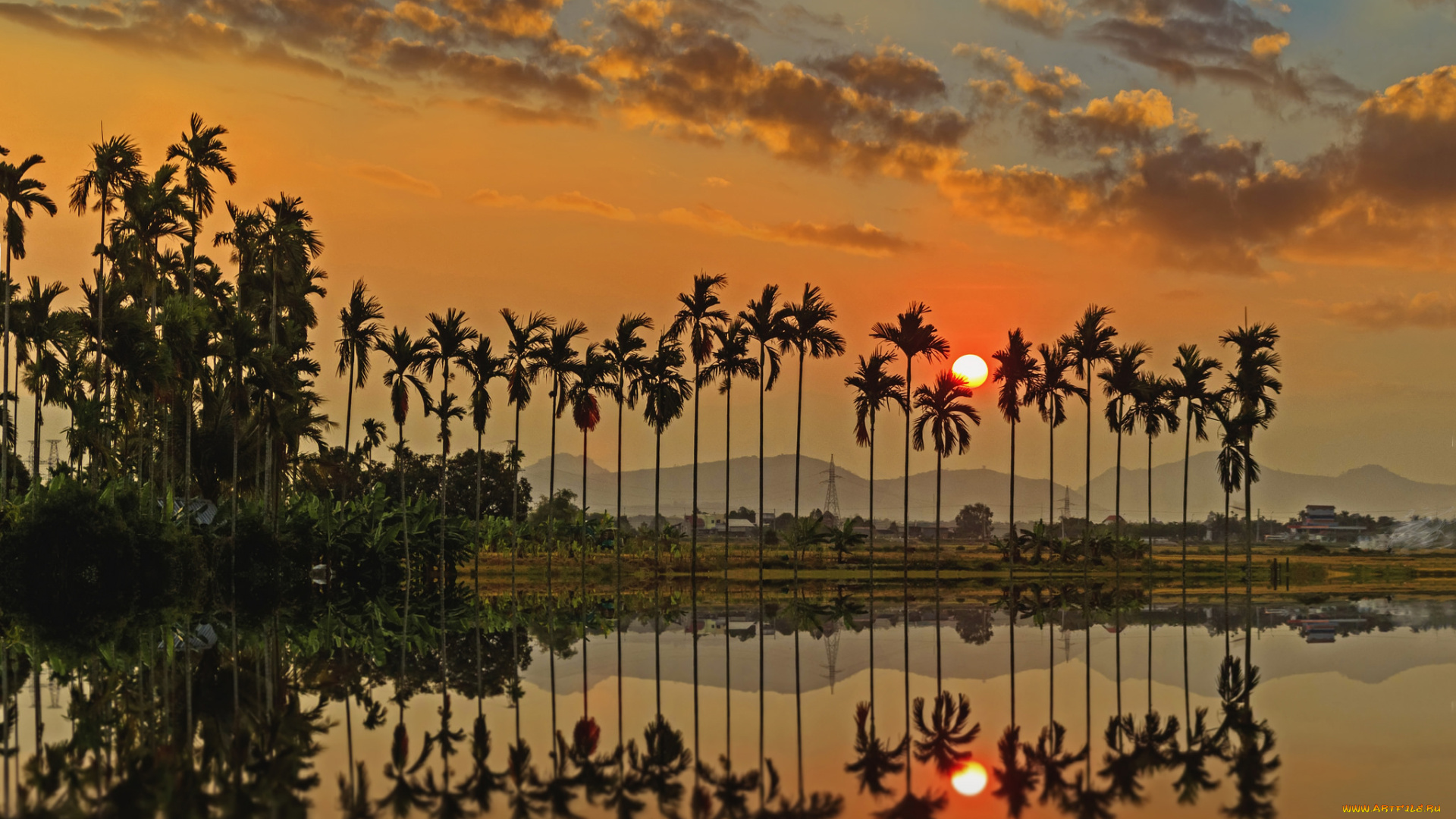 природа, тропики, простор