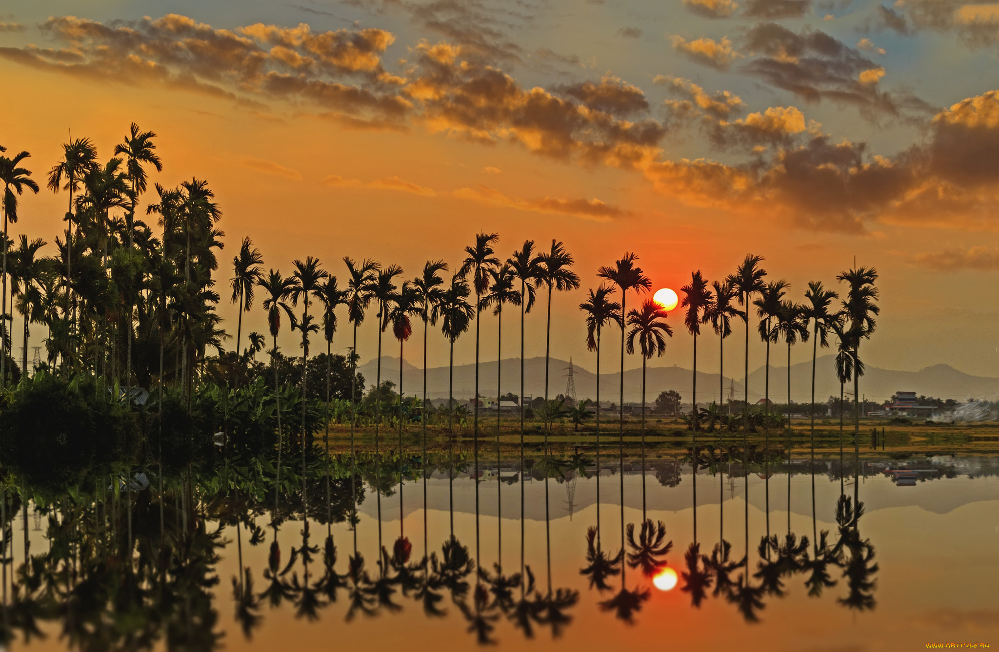 природа, тропики, простор