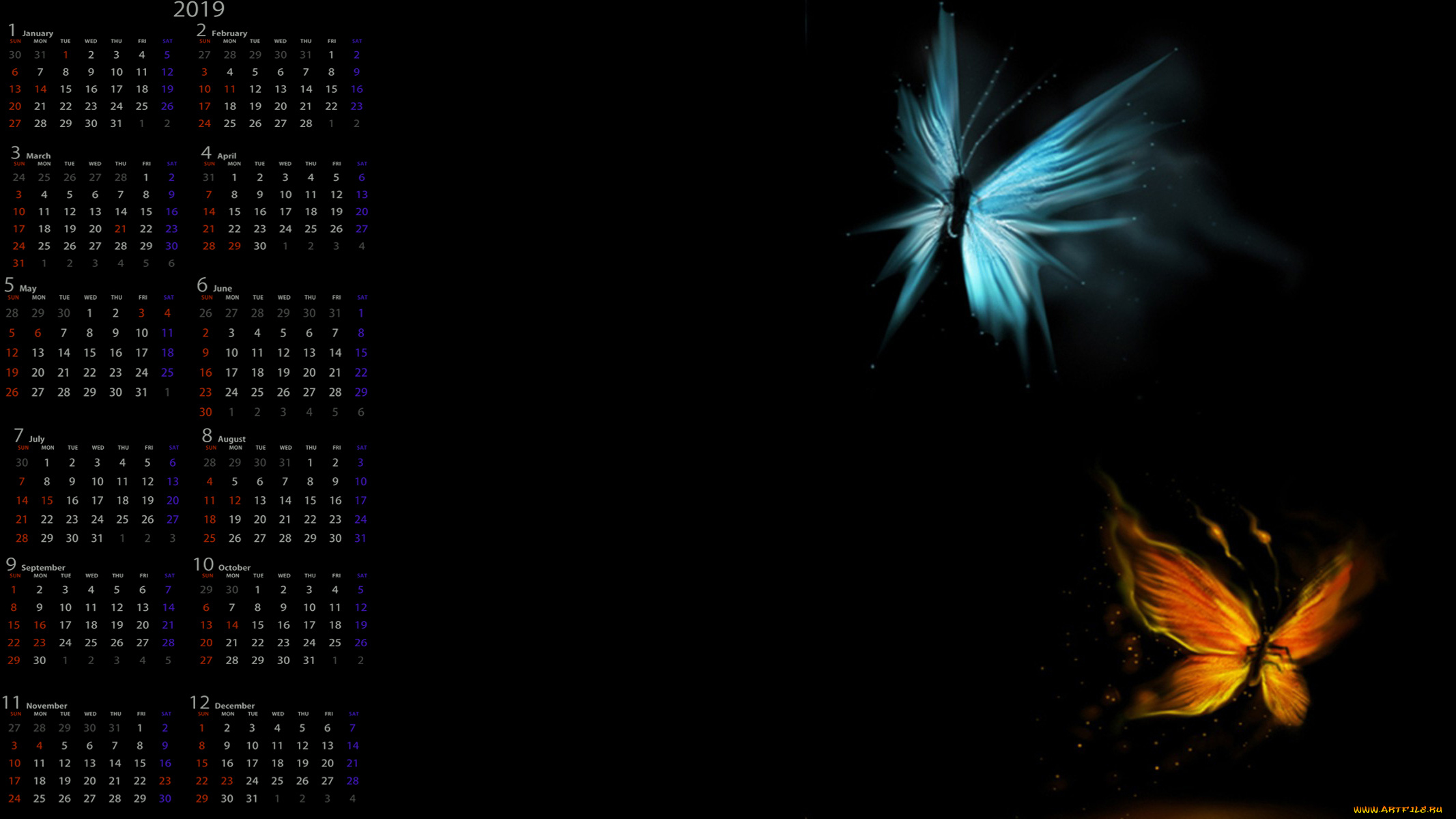 календари, компьютерный, дизайн, бабочка