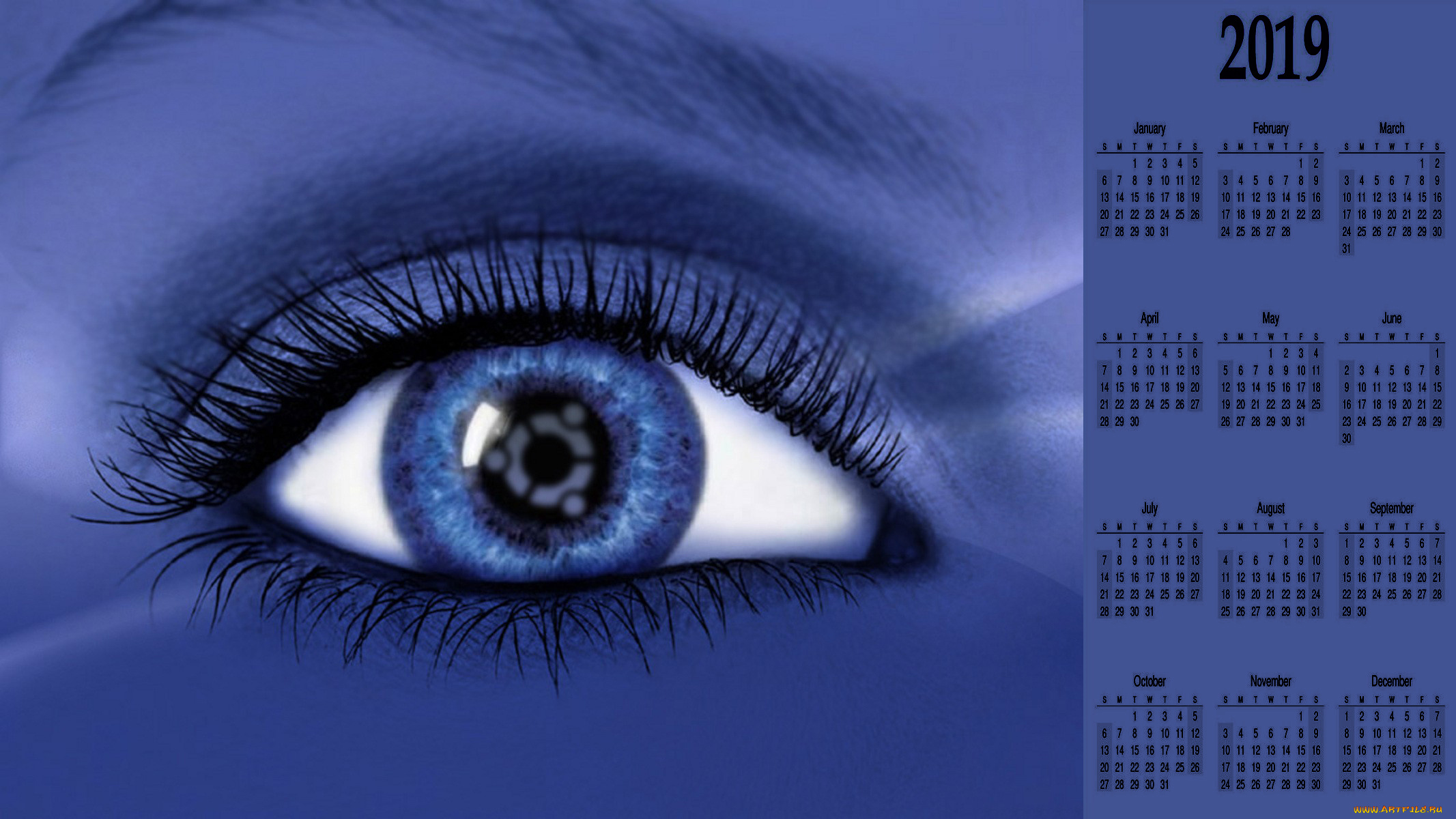 календари, компьютерный, дизайн, глаз