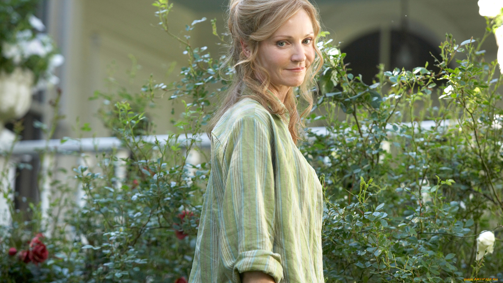 кино, фильмы, hachiko, , a, dogs, story, женщина, кусты, розы