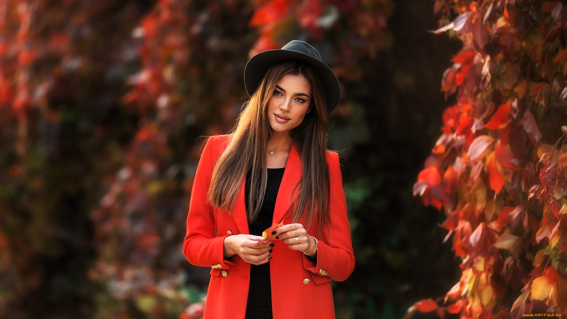 девушки, -, брюнетки, , шатенки, шатенка, шляпа, пальто, листья, осень, кусты