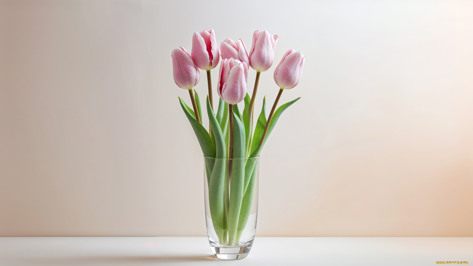 3д, графика, цветы, , flowers, ваза, букет, розовые, тюльпаны, бутоны