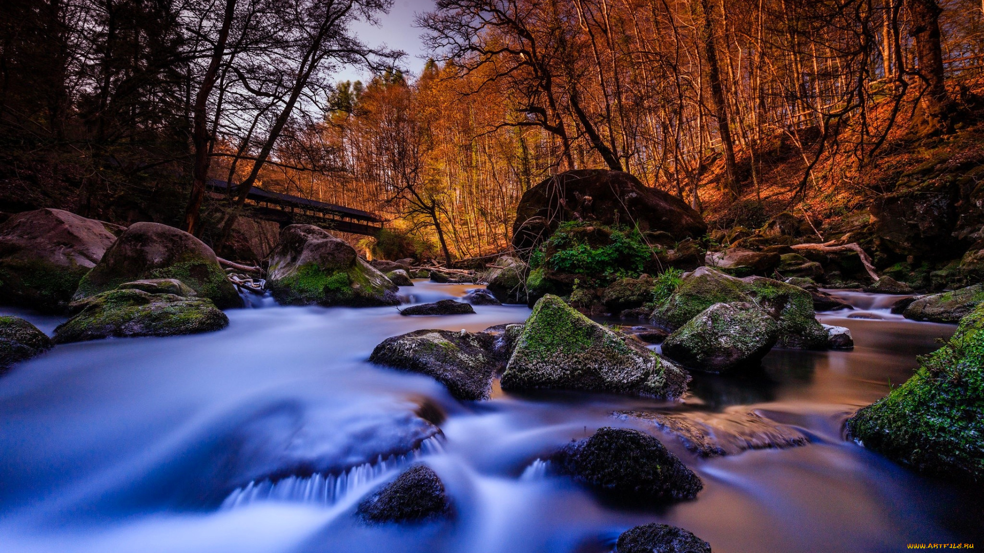 природа, реки, озера, лес, осень, мост, камни, мох, речка