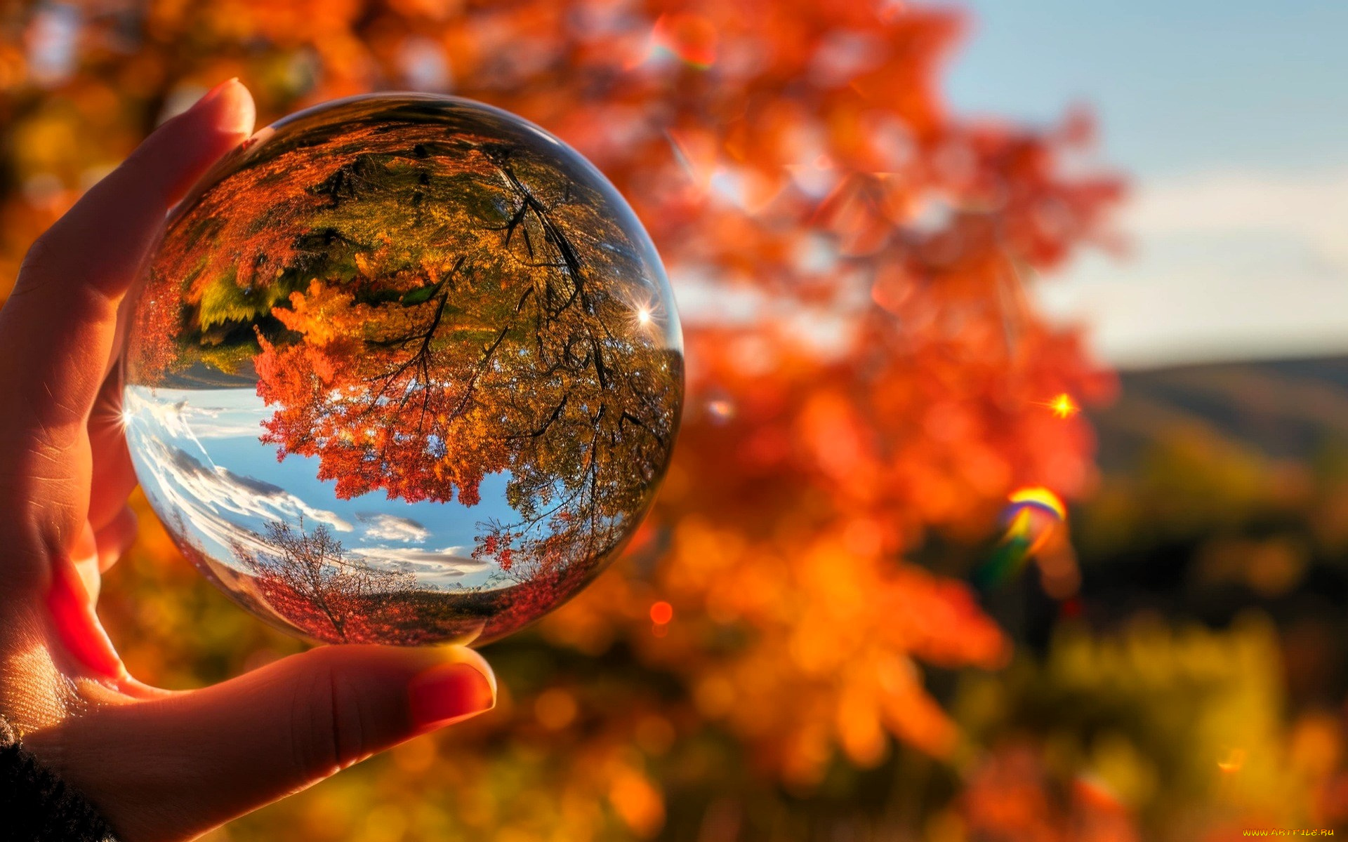 3д, графика, природа, , nature, рука, хрустальный, шар, природа, осень, отражение