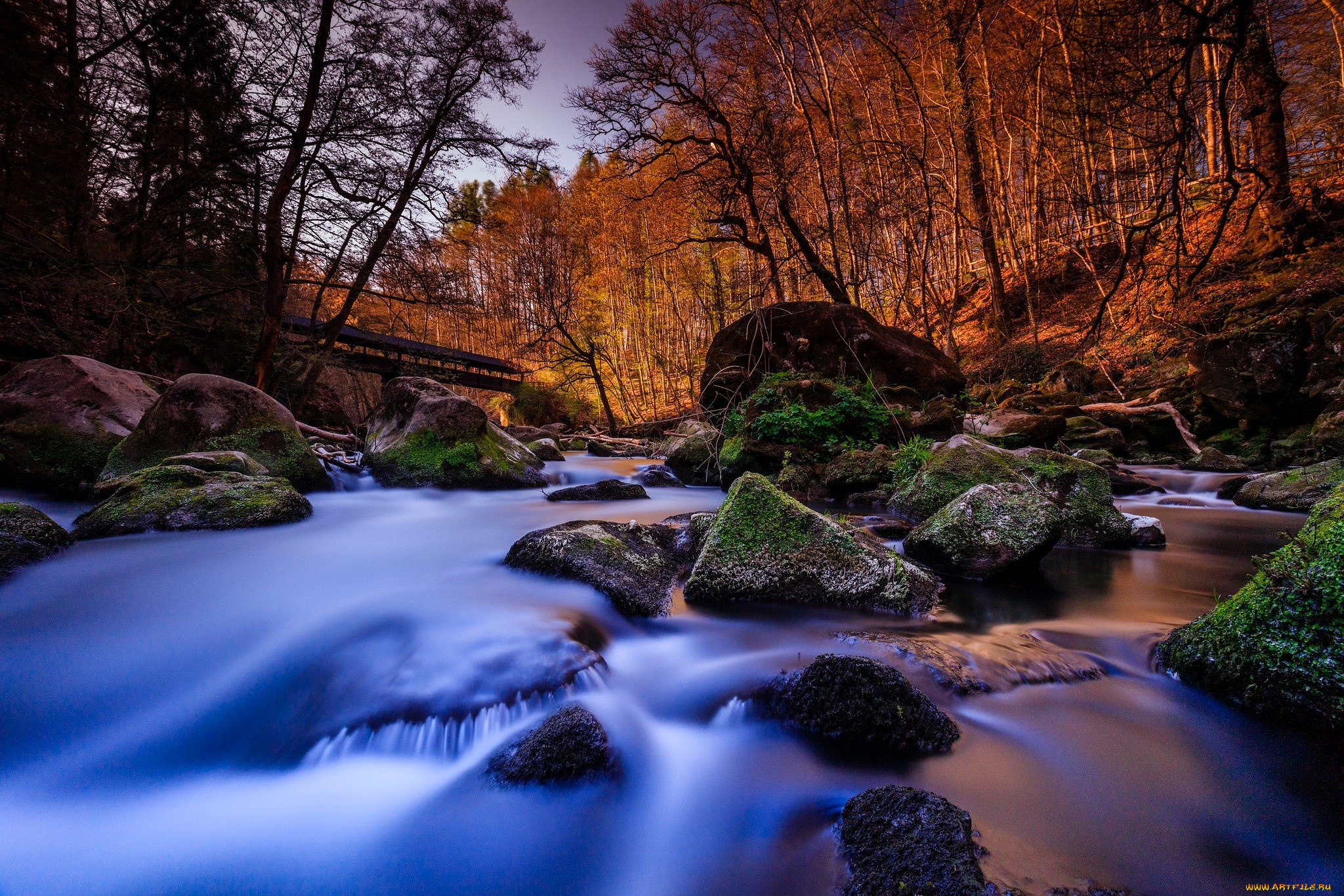 природа, реки, озера, лес, осень, мост, камни, мох, речка