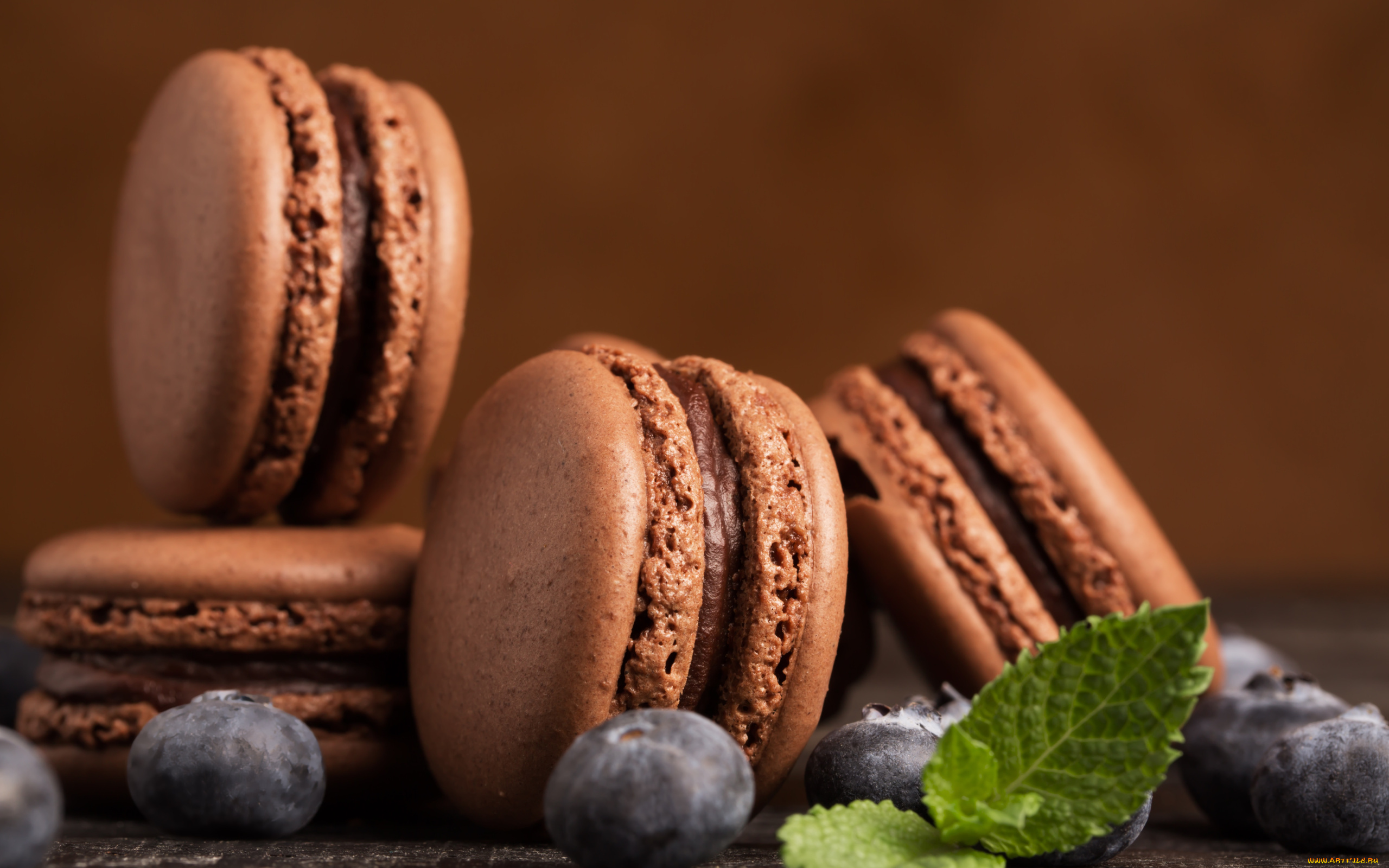 еда, макаруны, лакомство, шоколадные, мята