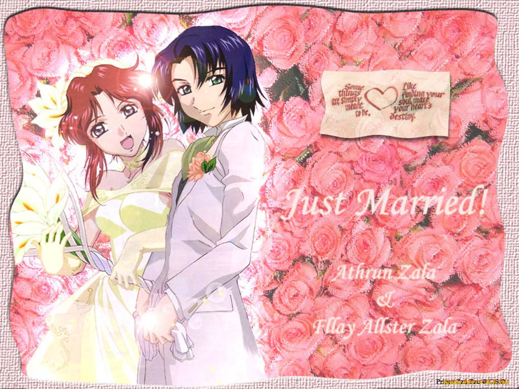 аниме, gundam, seed