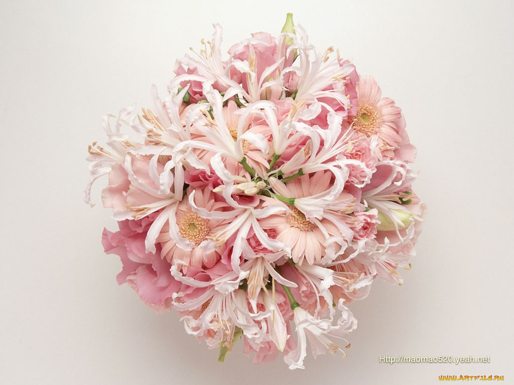 цветы, букеты, композиции