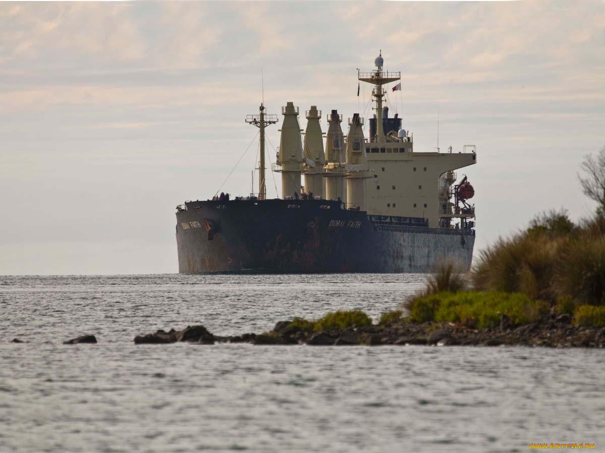 корабли, теплоходы