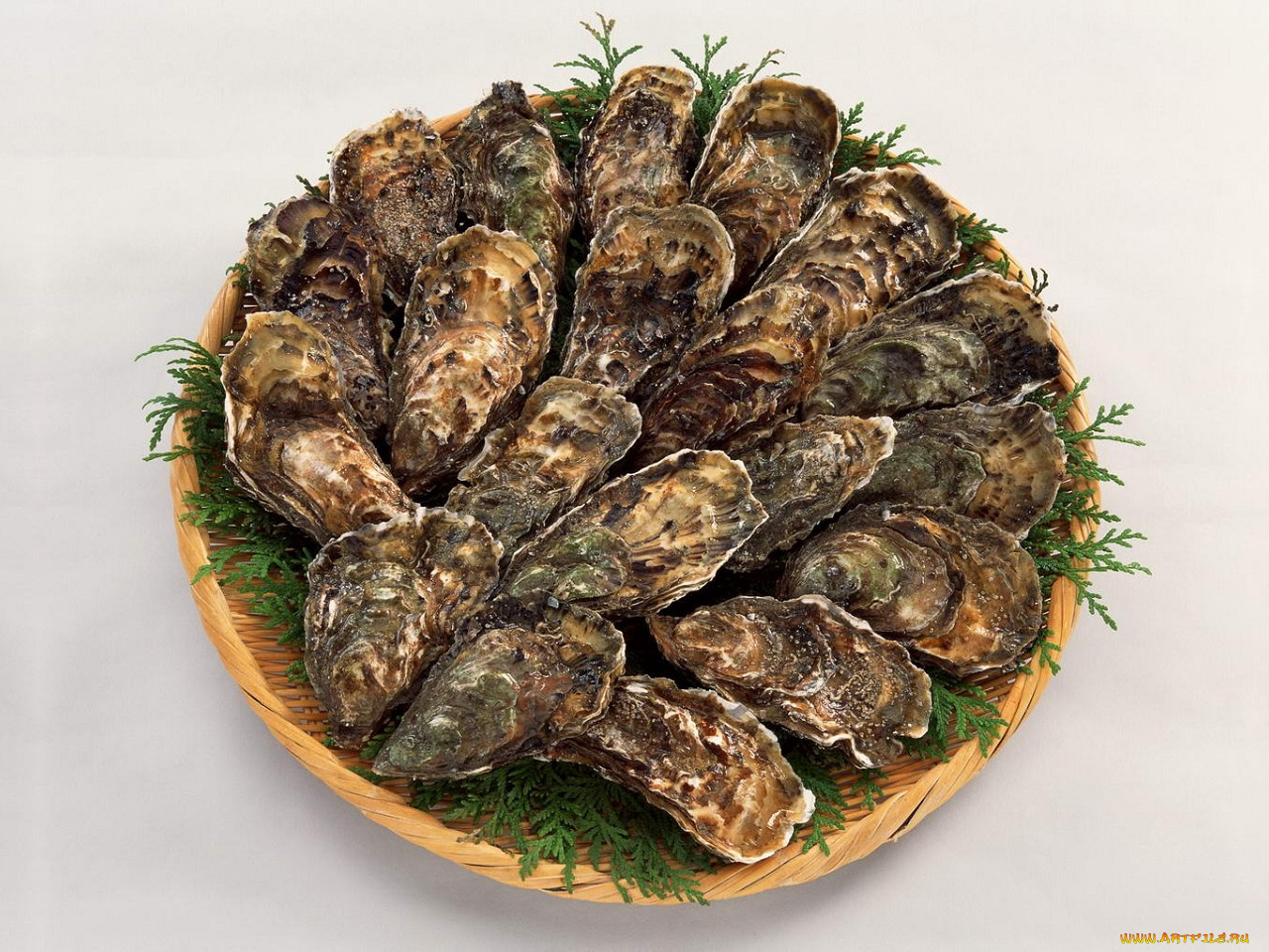 еда, рыба, морепродукты, суши, роллы