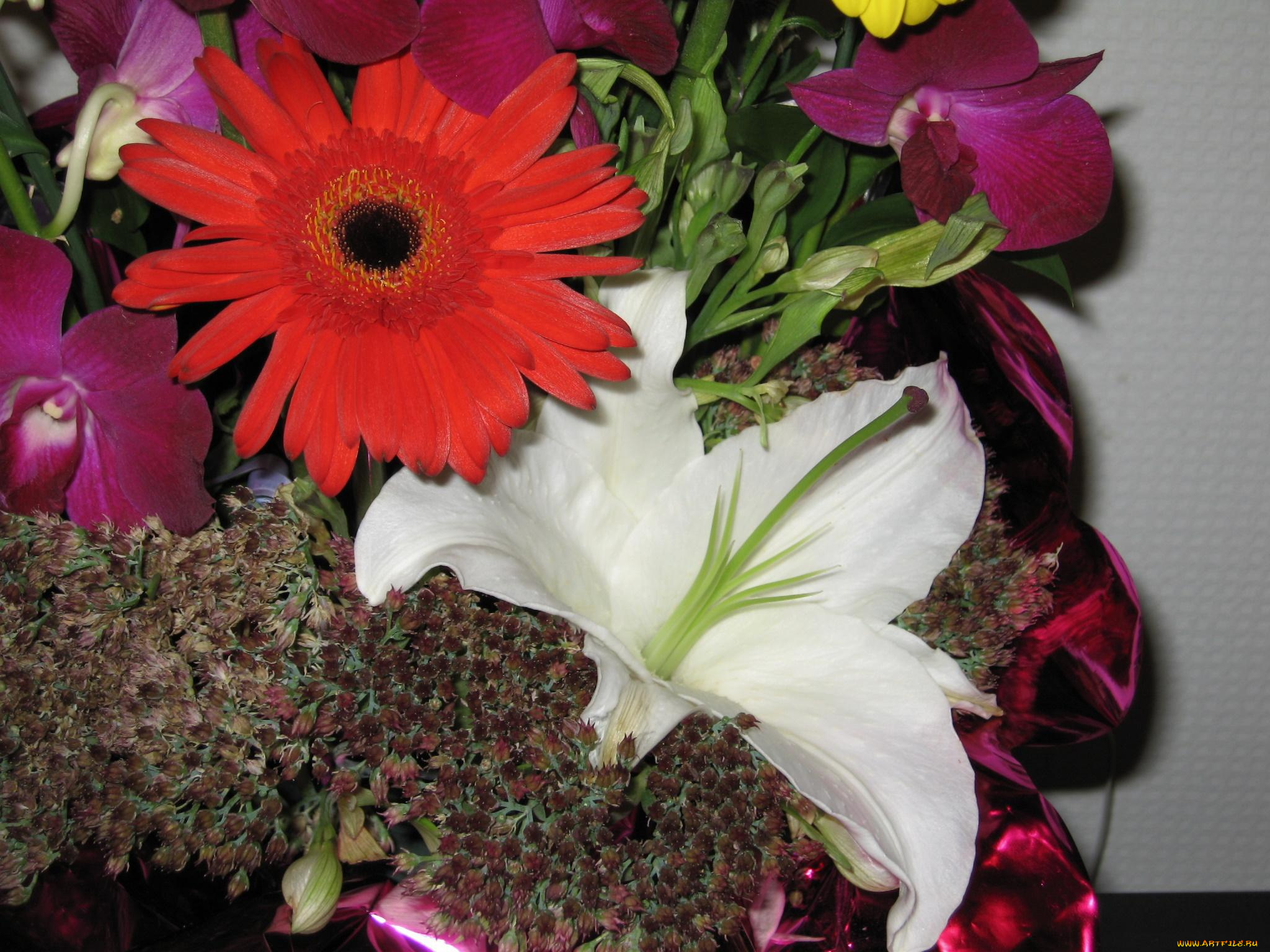 цветы, букеты, композиции