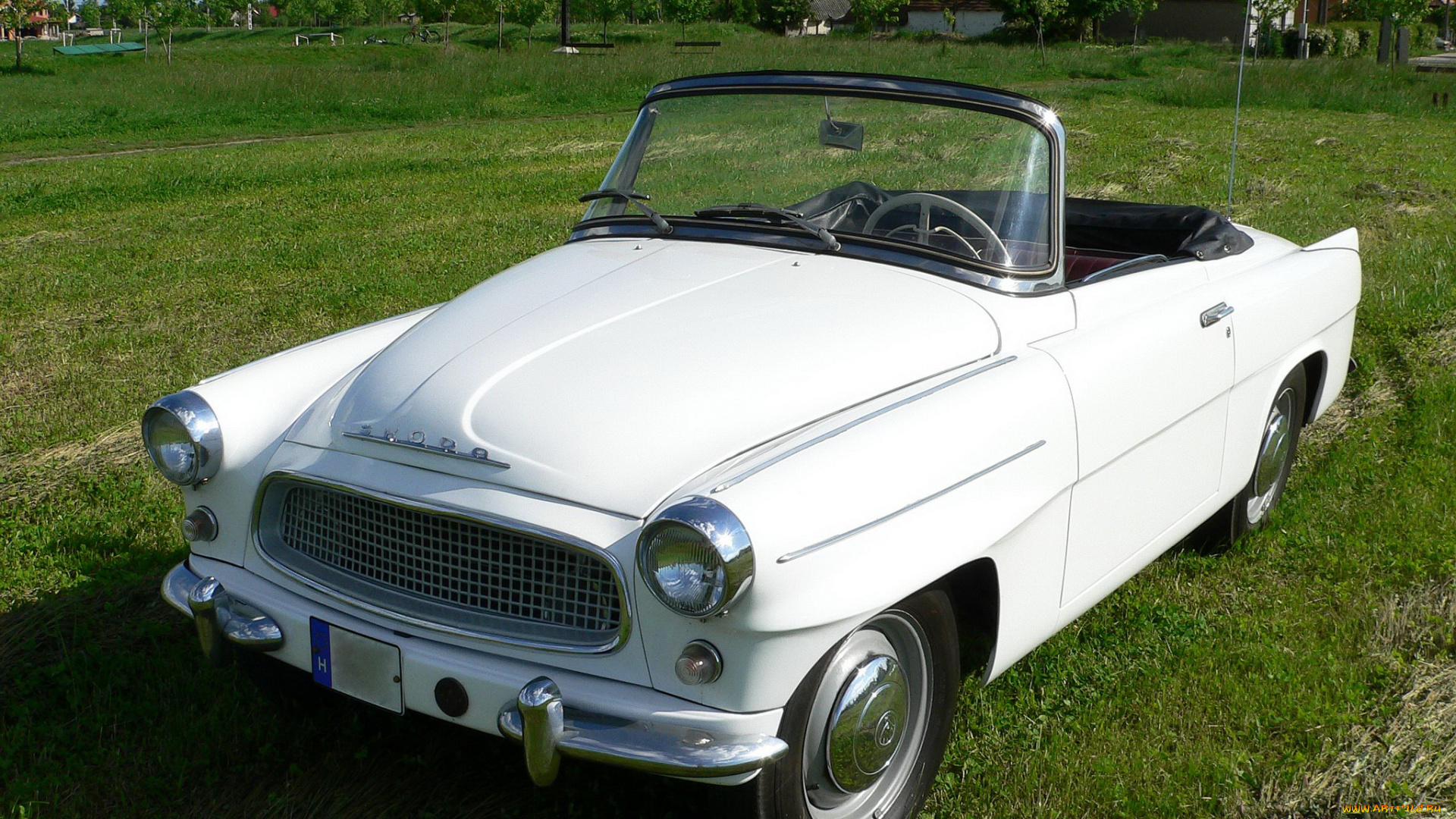 автомобили, skoda