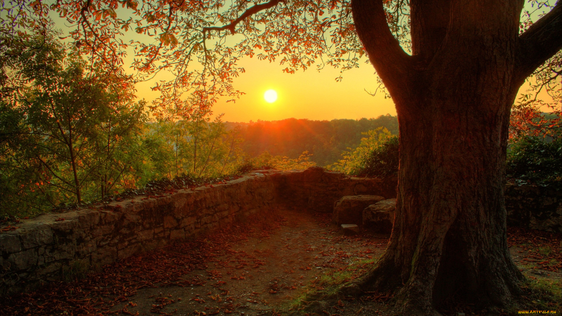 природа, восходы, закаты