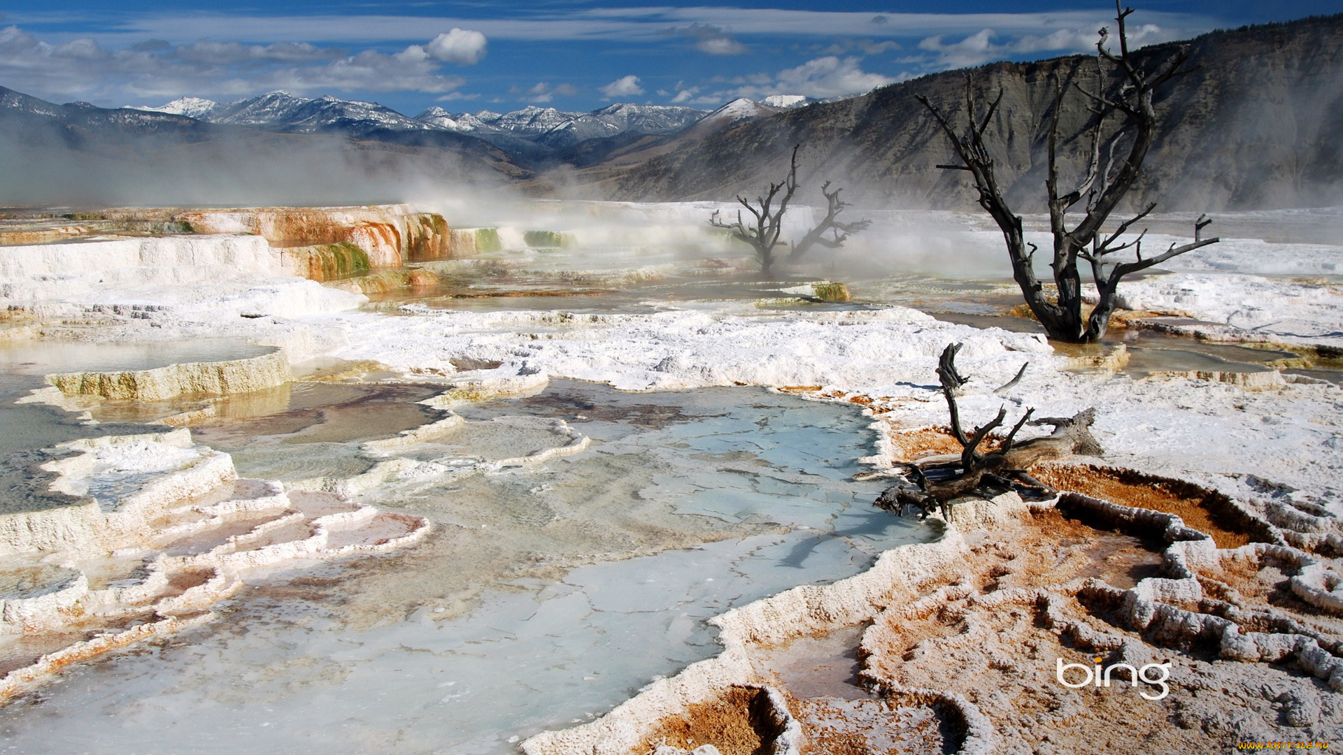 природа, другое