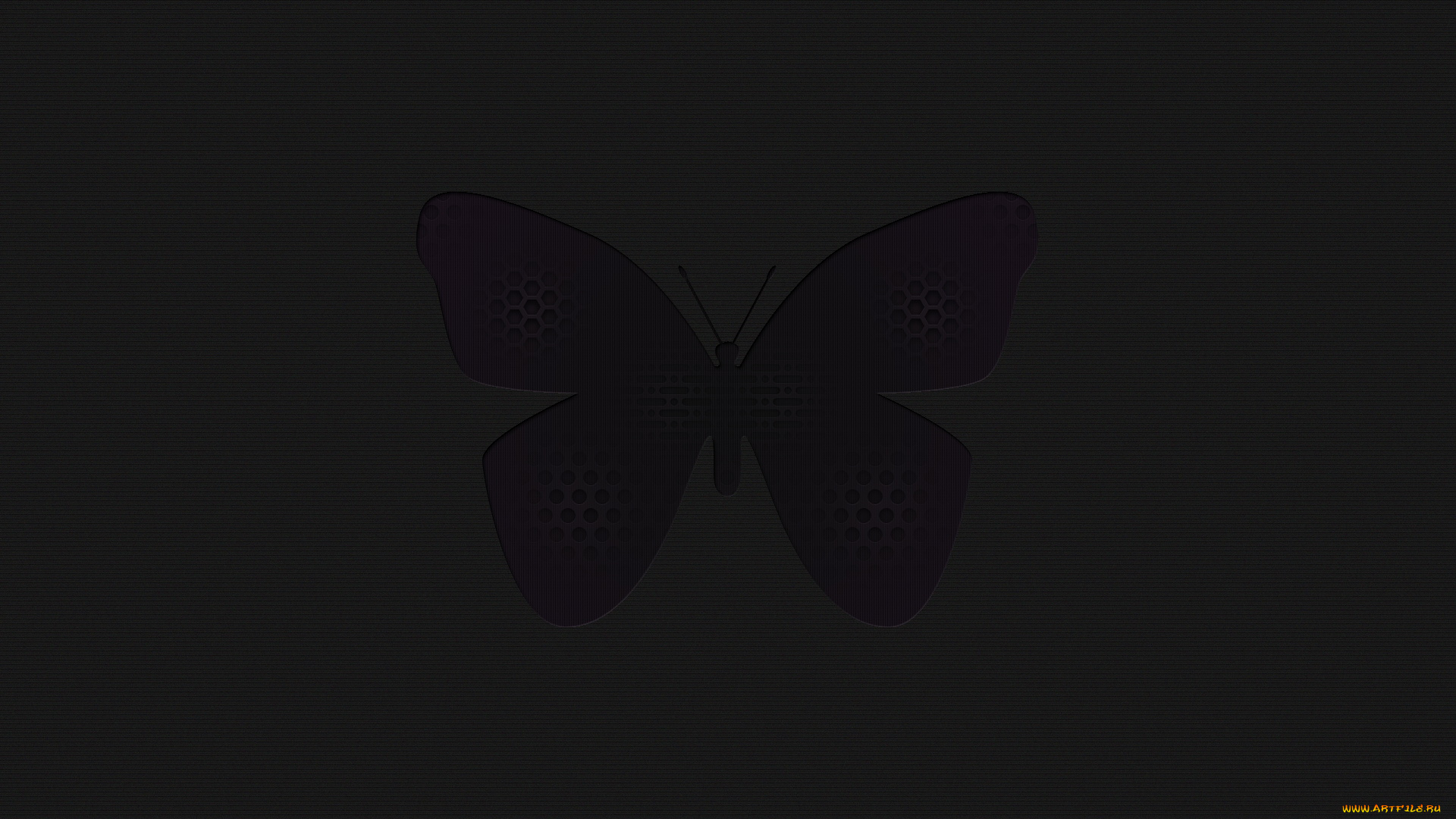 3д, графика, animals, животные, бабочка