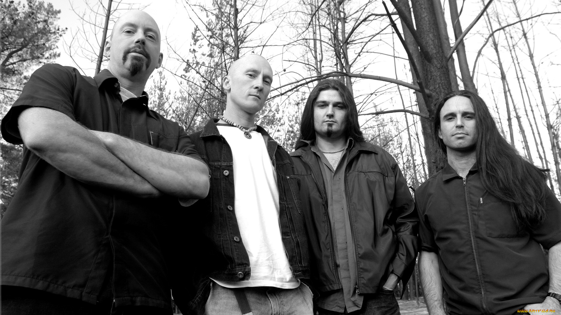 alchemist, музыка, австралия, рок-метал