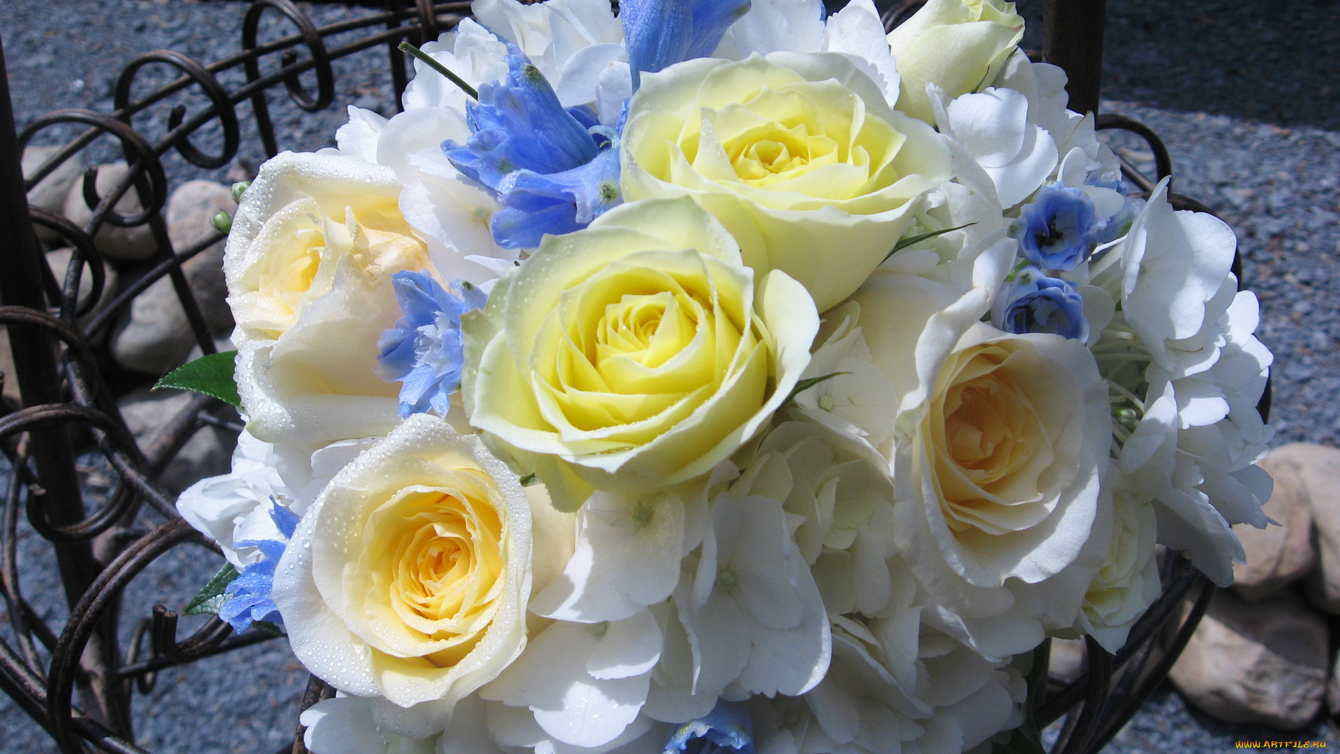 цветы, букеты, композиции, букет, розы