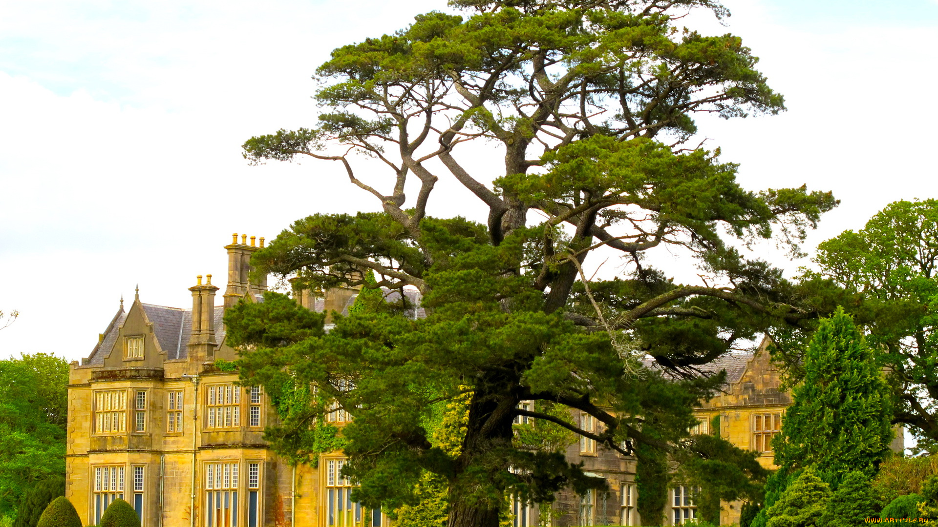 muckross, house, garden, ireland, города, здания, дома