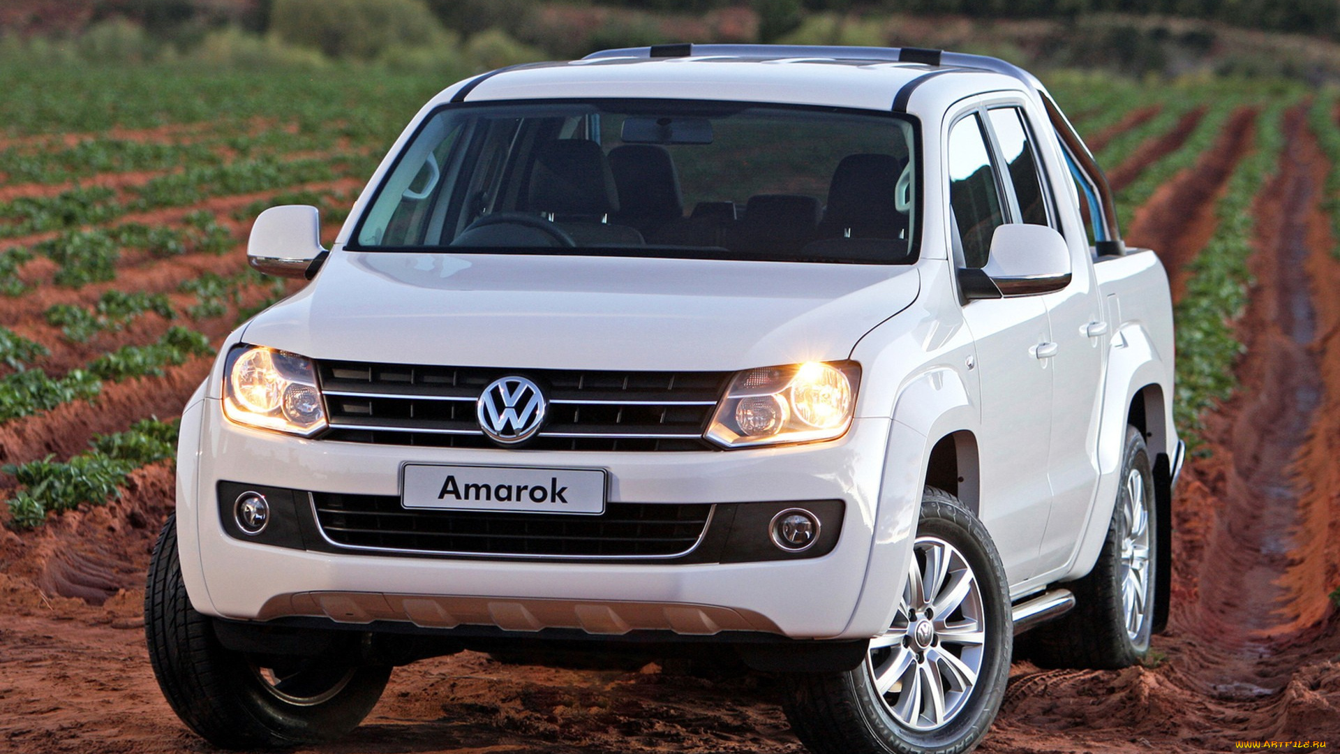 volkswagen, автомобили, внедорожник, мощь