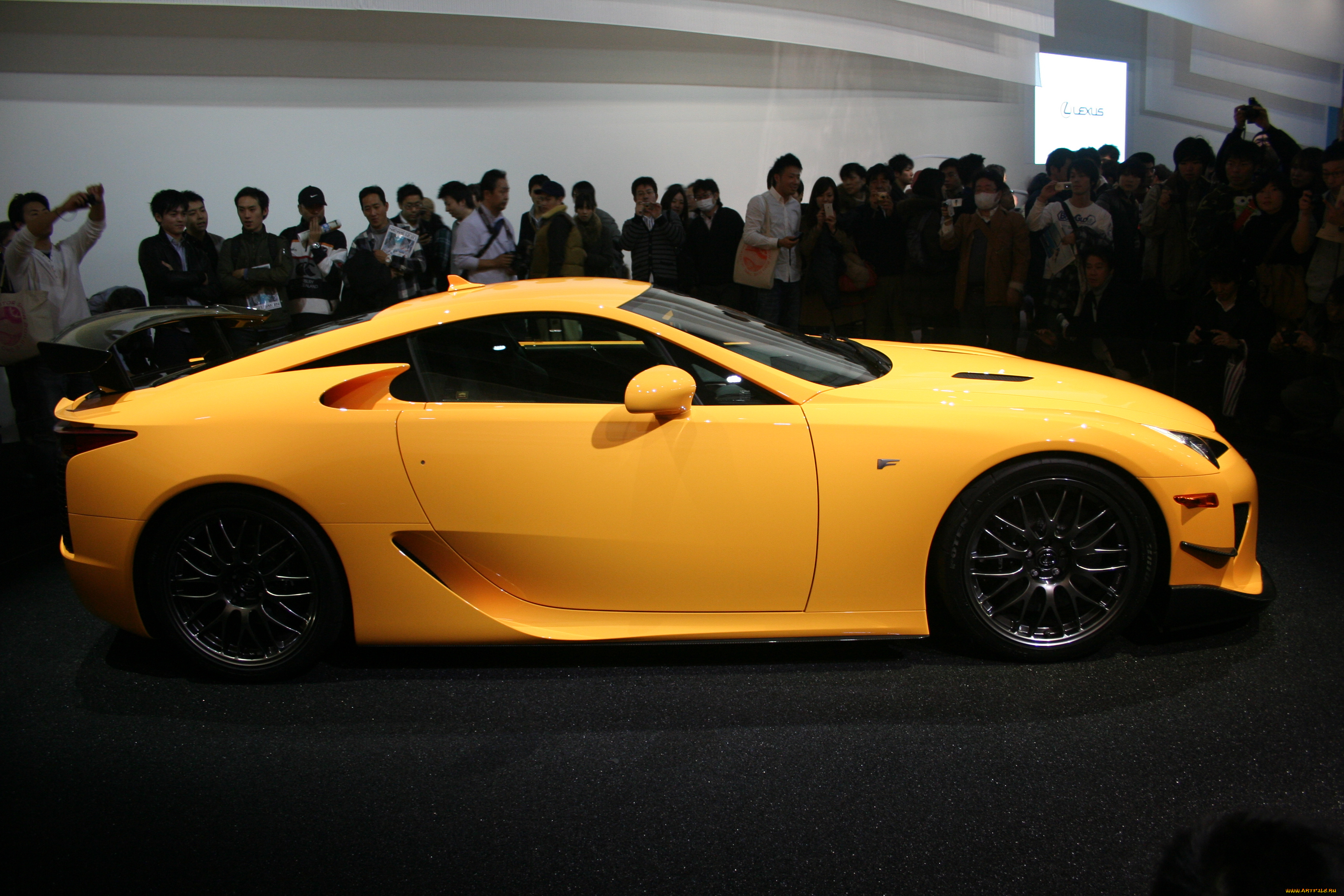 lexus, автомобили, выставки, уличные, фото, скорость, красота, автомобиль, стиль