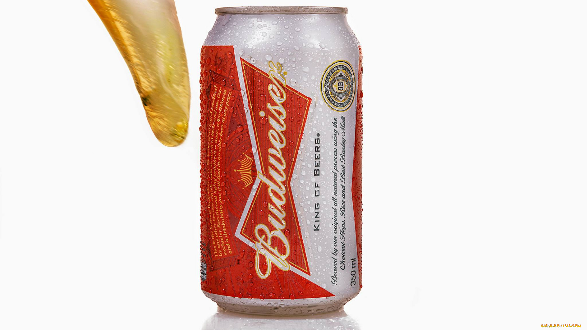 бренды, budweiser, банка, пиво
