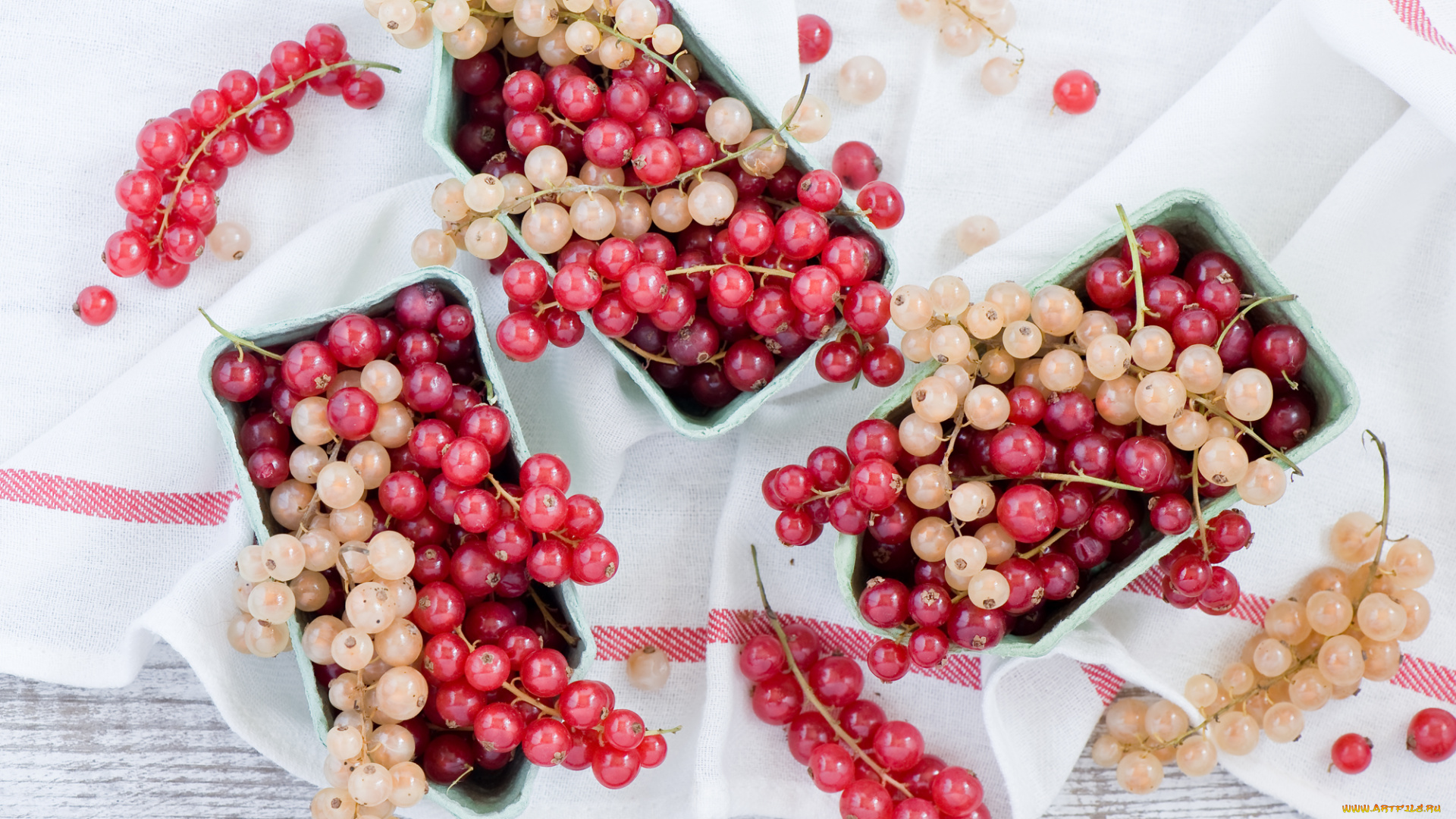 еда, смородина, красная, белая