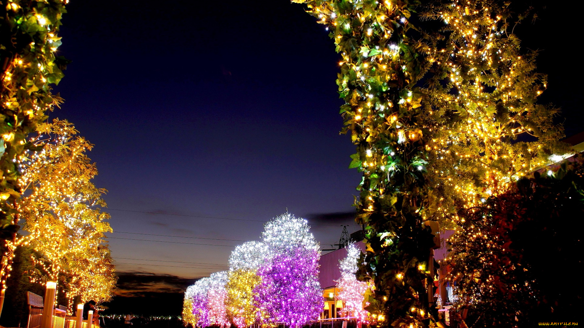 праздничные, новогодние, пейзажи, иллюминация, арка, улица, деревья