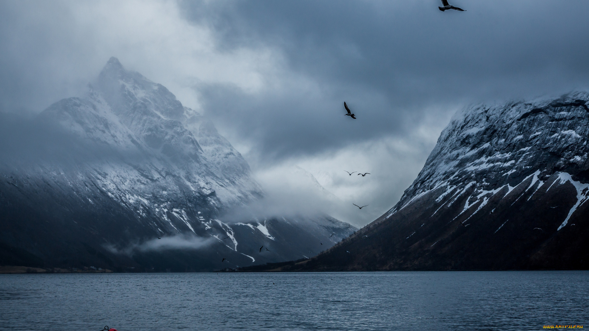 природа, реки, озера, птицы, залив, горы, норвегия