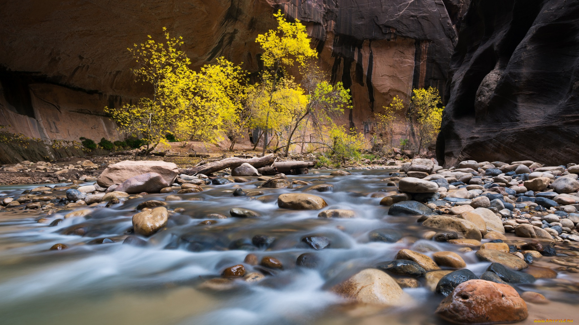 природа, реки, озера, ущелье, скалы, горы, река, камни, деревья