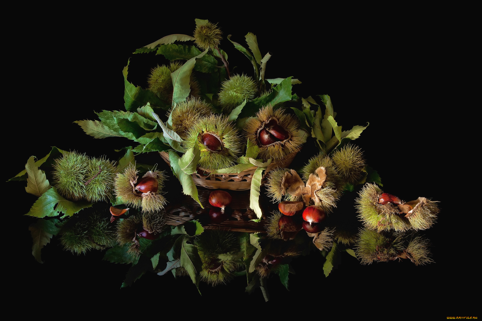 еда, орехи, каштаны