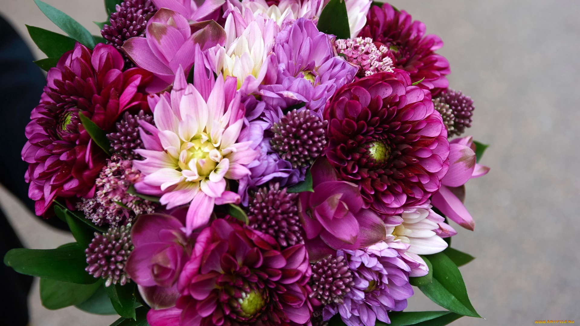 цветы, букеты, , композиции, георгины, орхидеи, букет