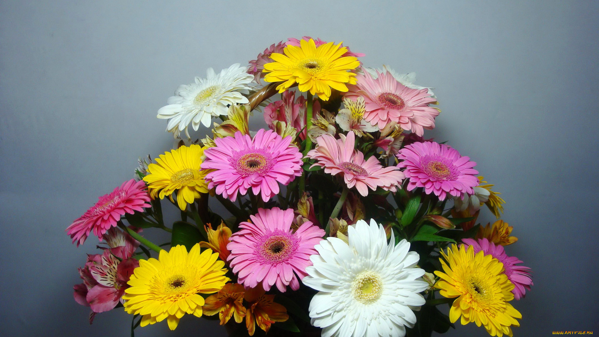 цветы, букеты, , композиции, герберы, букет, альстромерии