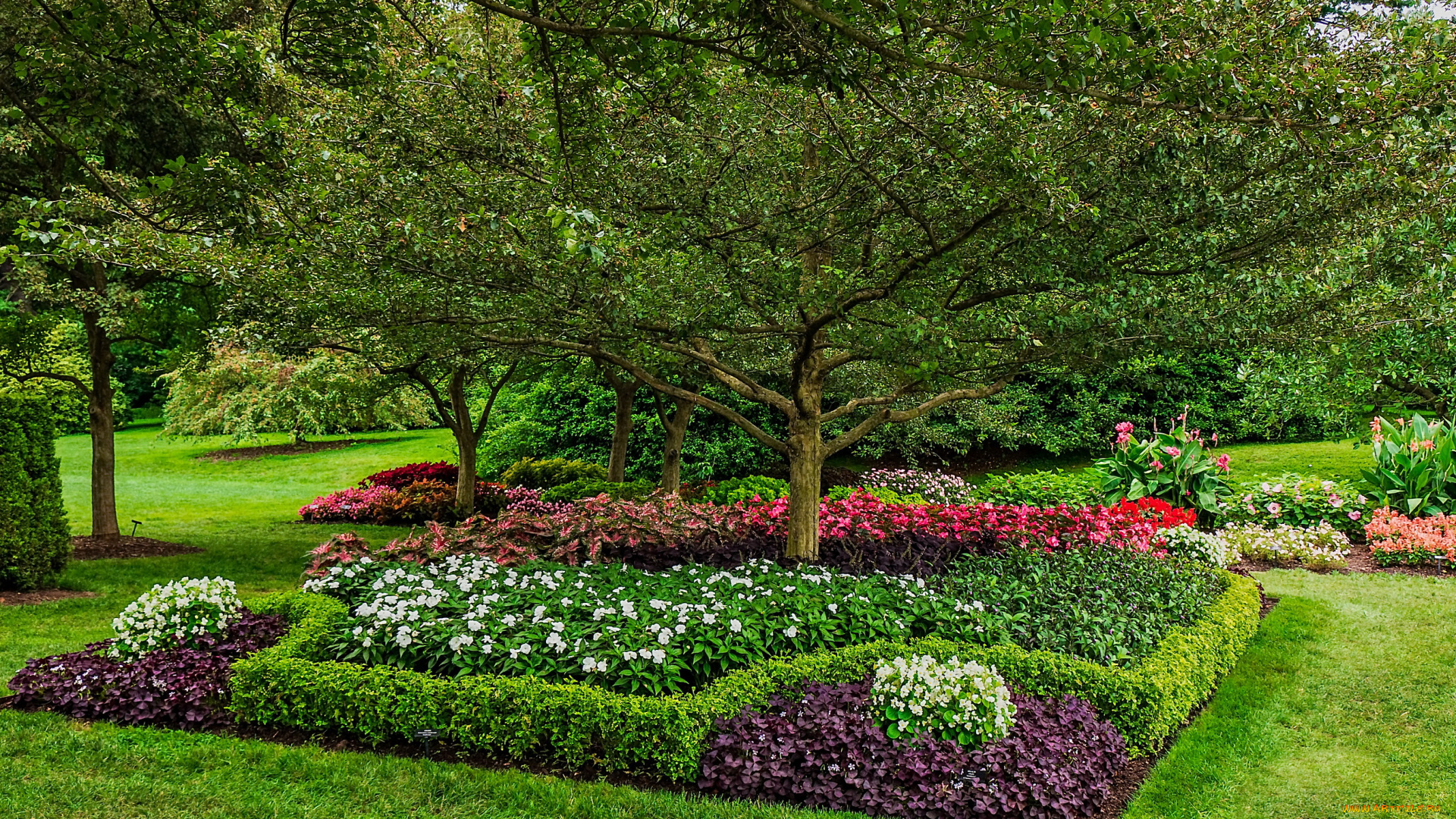 longwood, kennett, square, , сша, природа, парк, цветы, газоны, сша, клумбы, square, kennett, longwood