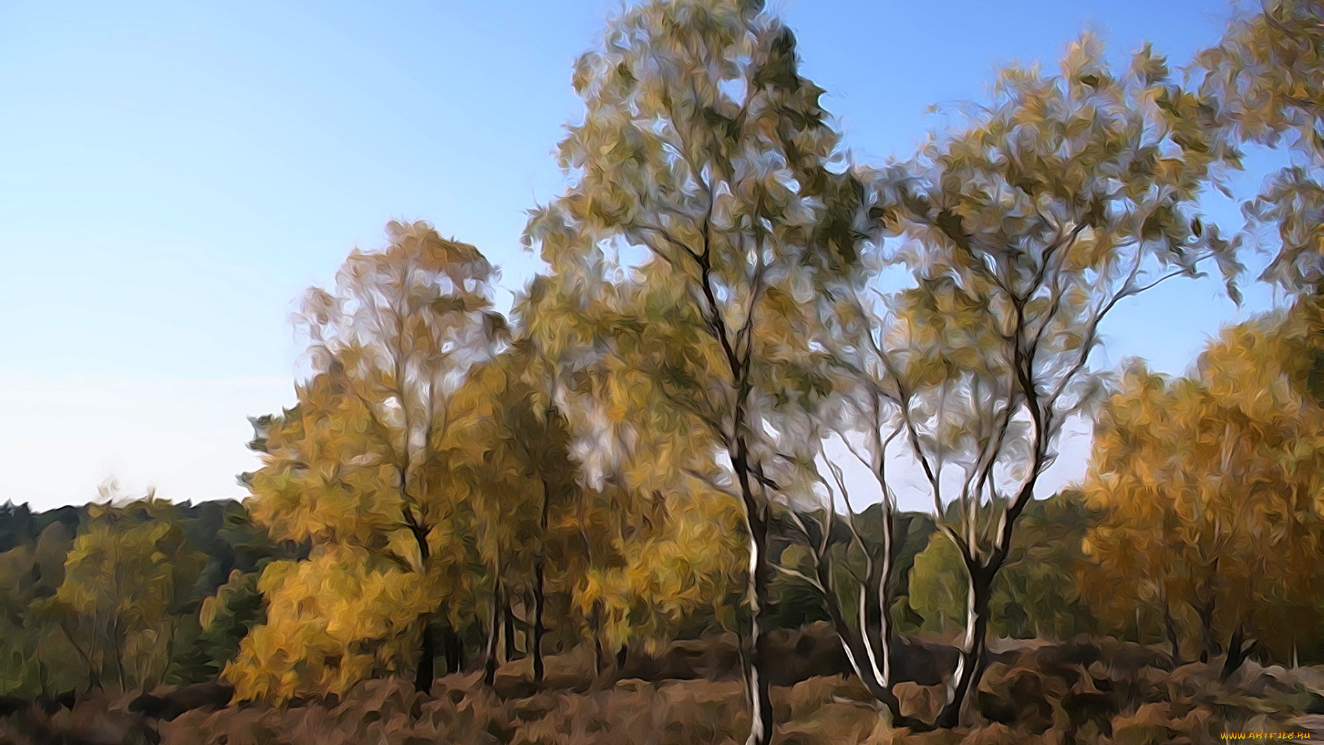 разное, компьютерный, дизайн, небо, природа, деревья, лес, дизайн