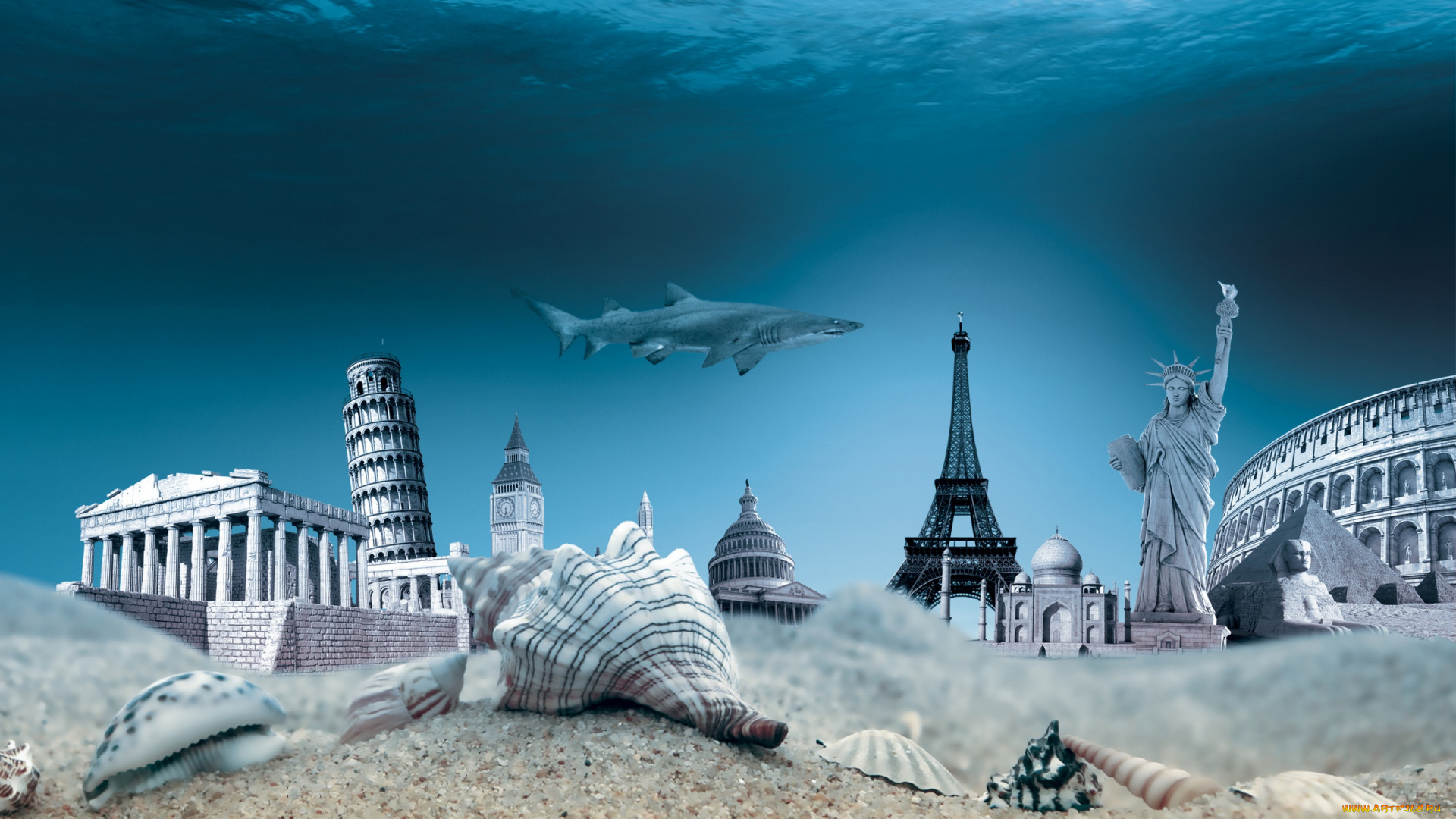 разное, компьютерный, дизайн, seashells, world, travel, ocean, ракушки, underwater, дно, море