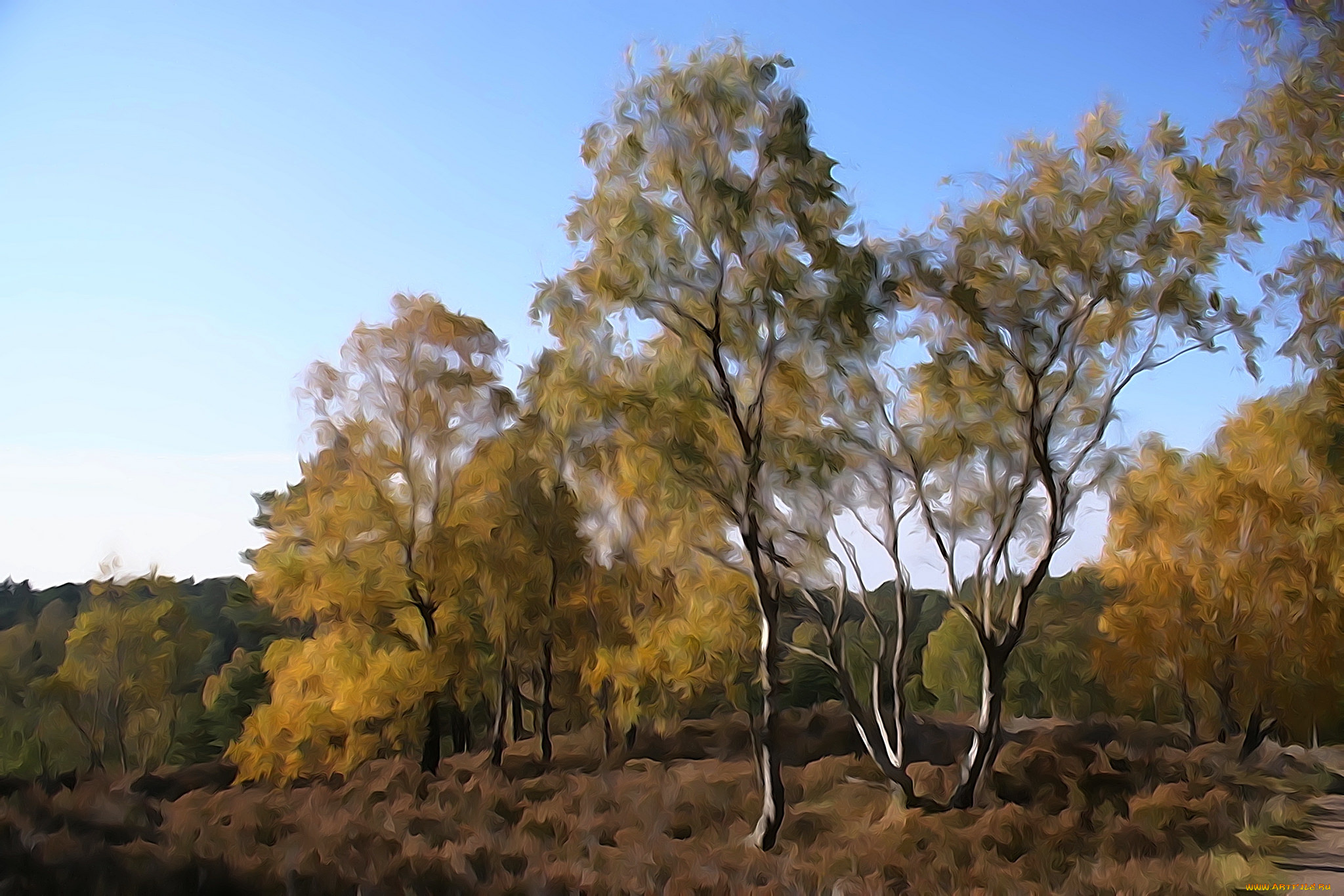разное, компьютерный, дизайн, небо, природа, деревья, лес, дизайн