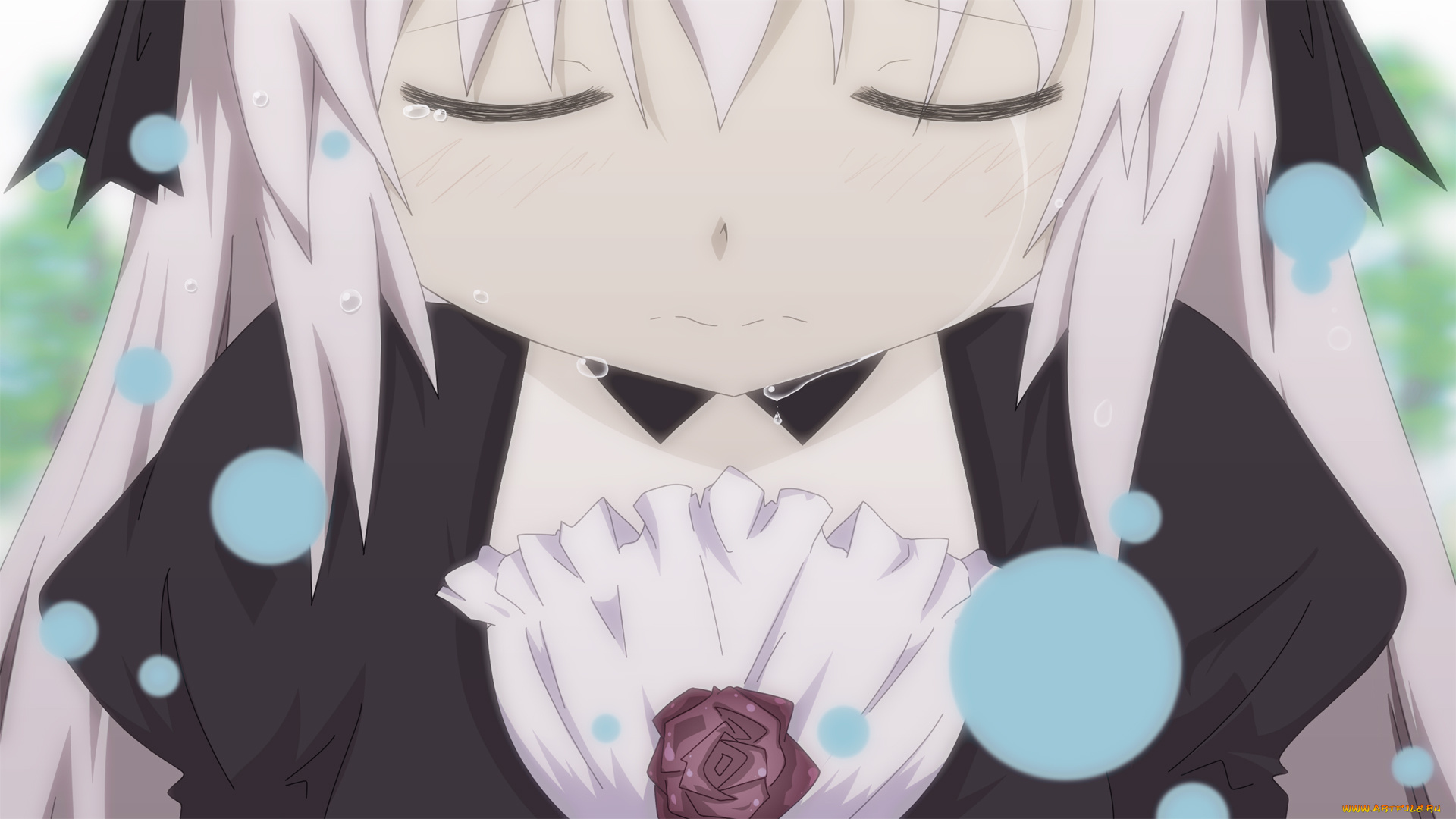 аниме, rozen, maiden, арт, suigintou, rozen, maiden, лицо, девочка