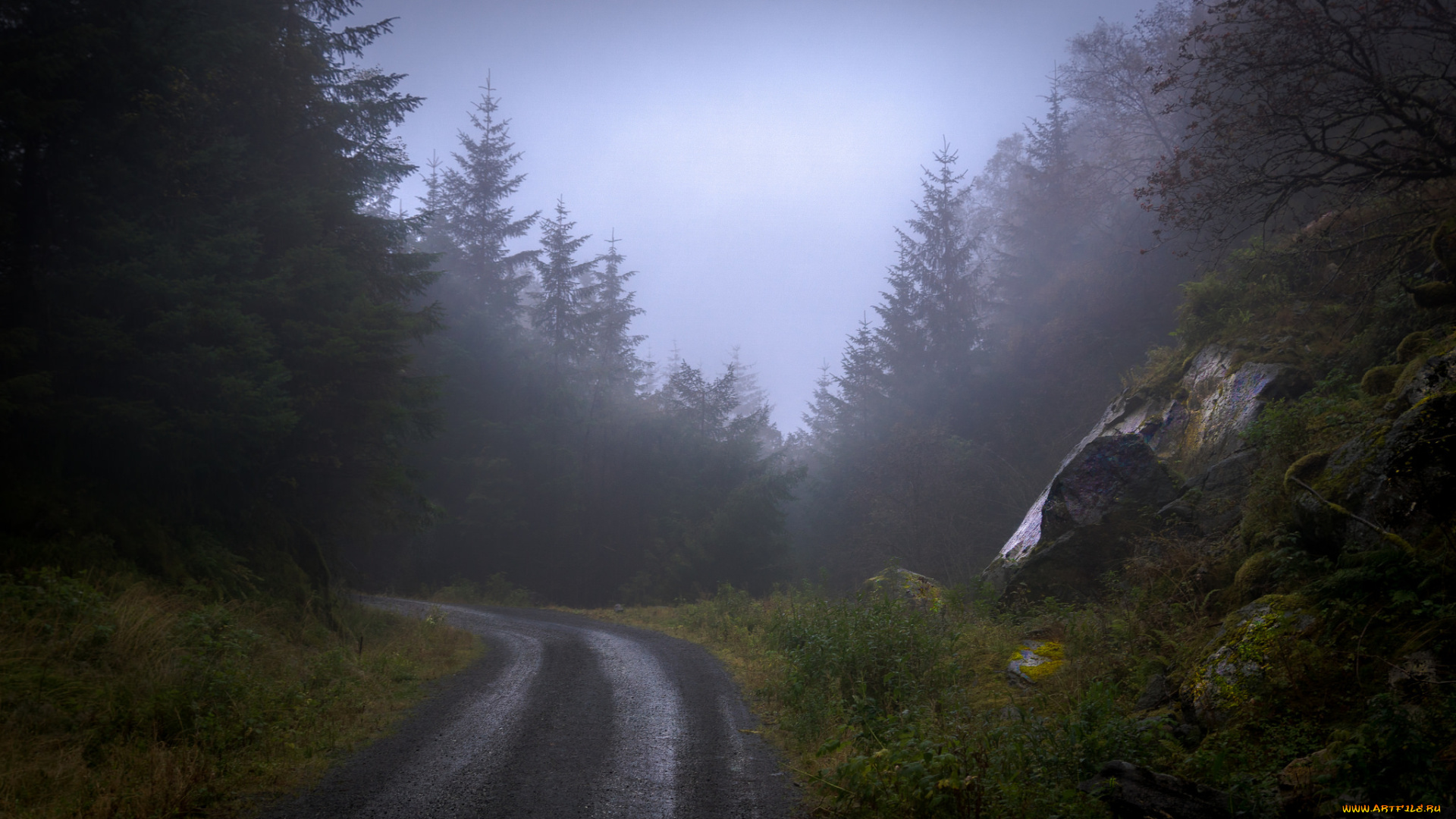 природа, дороги, дорога, деревья, лес, туман, камни