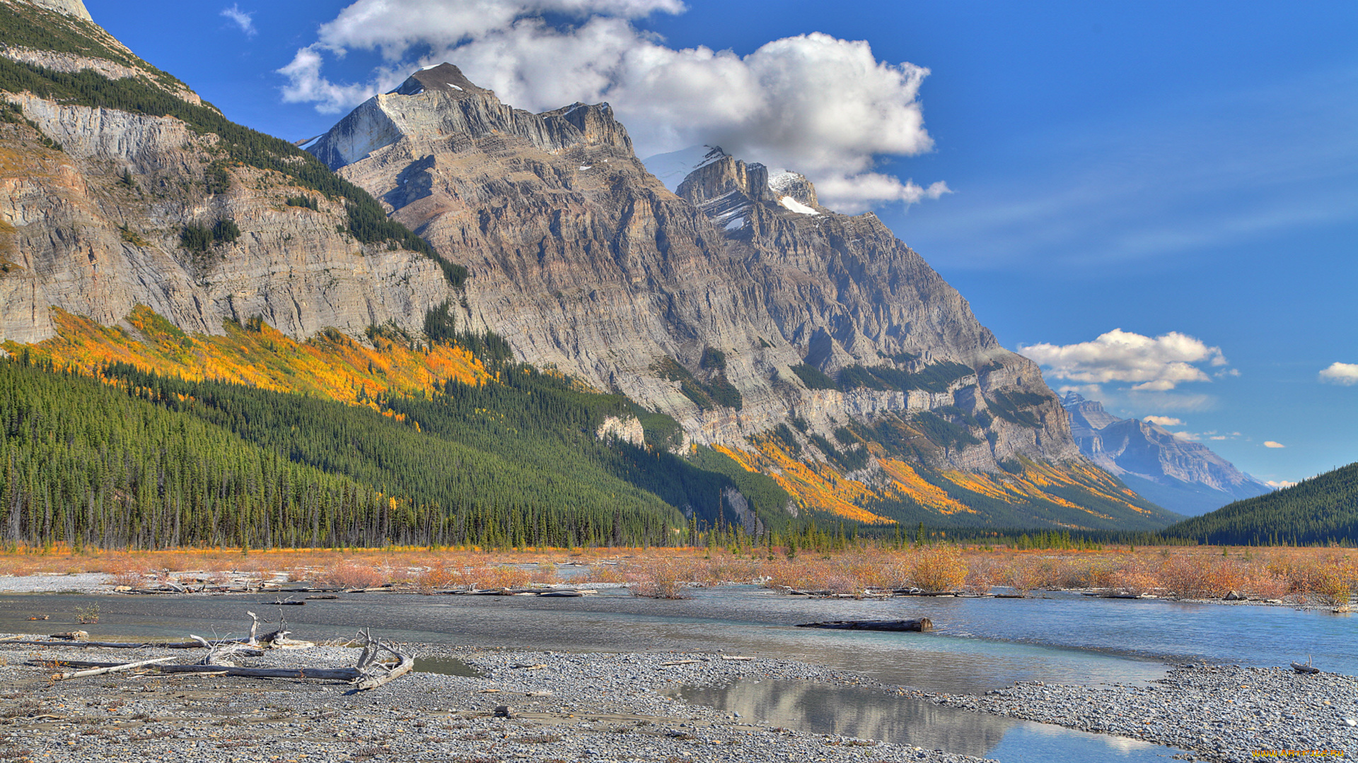 природа, реки, озера, лес, деревья, коряга, озеро, осень, горы, облака, небо, склон