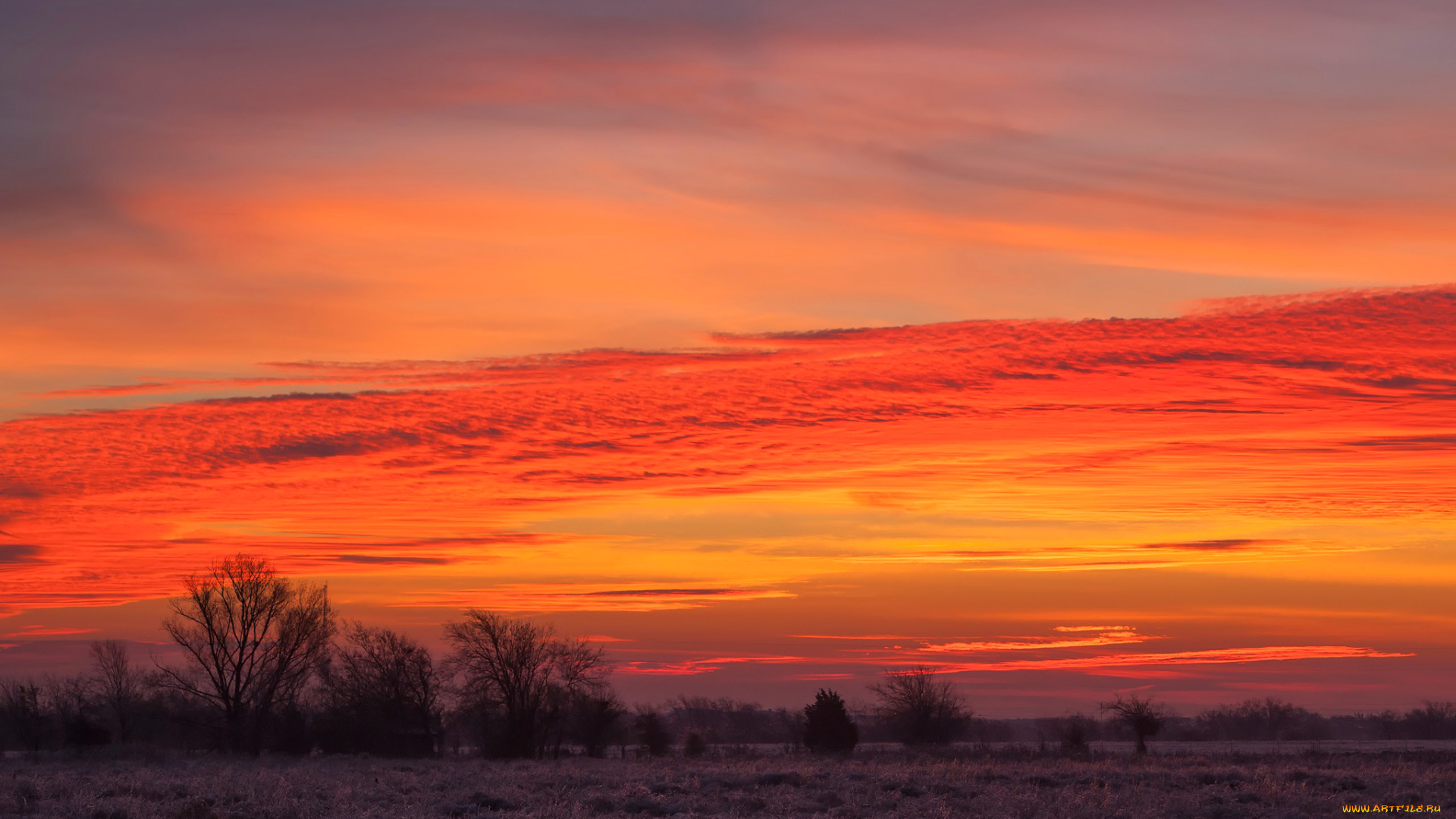 природа, восходы, закаты, деревья, закат, облака, небо, поле