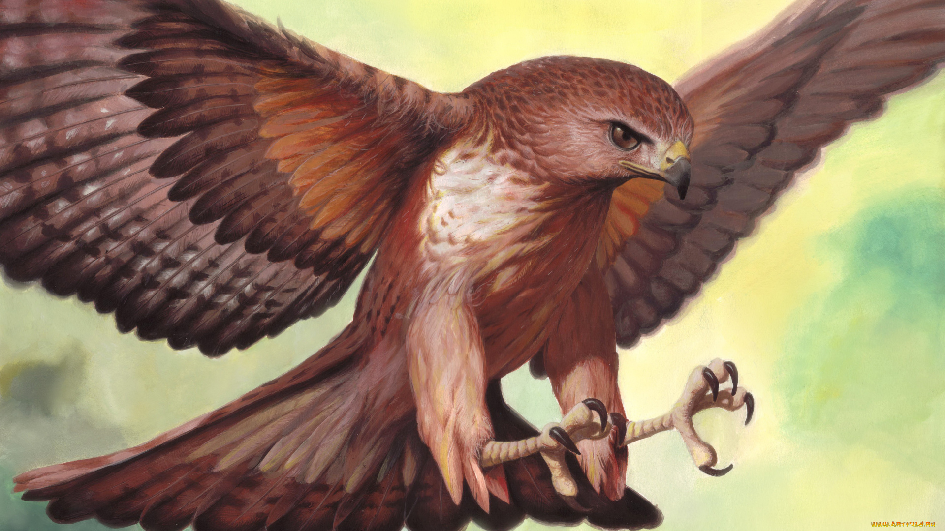 рисованное, животные, , птицы, , орлы, охота, полет, орел