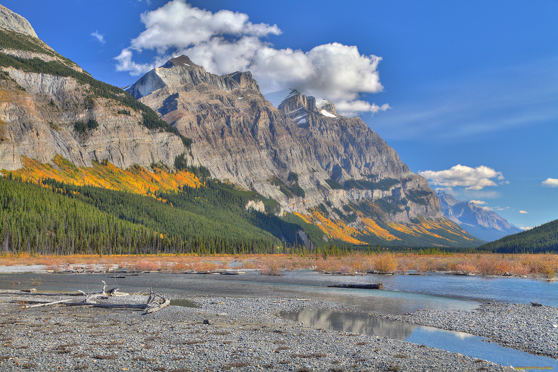 природа, реки, озера, лес, деревья, коряга, озеро, осень, горы, облака, небо, склон